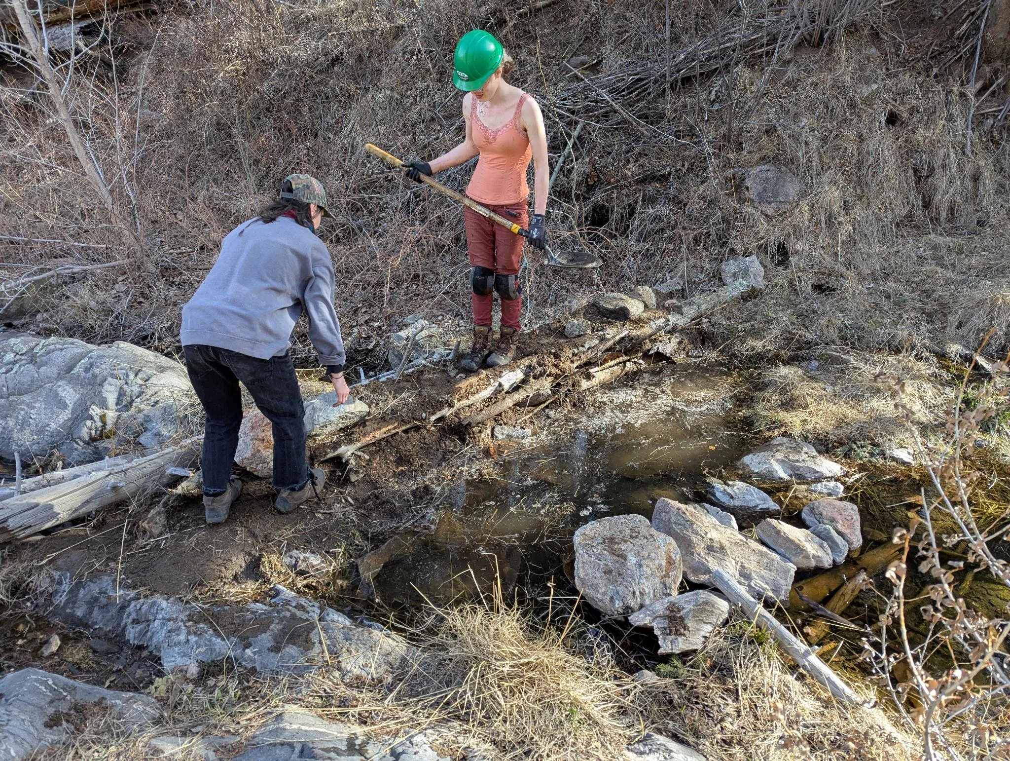 building-bda - Rachel Fish.jpeg