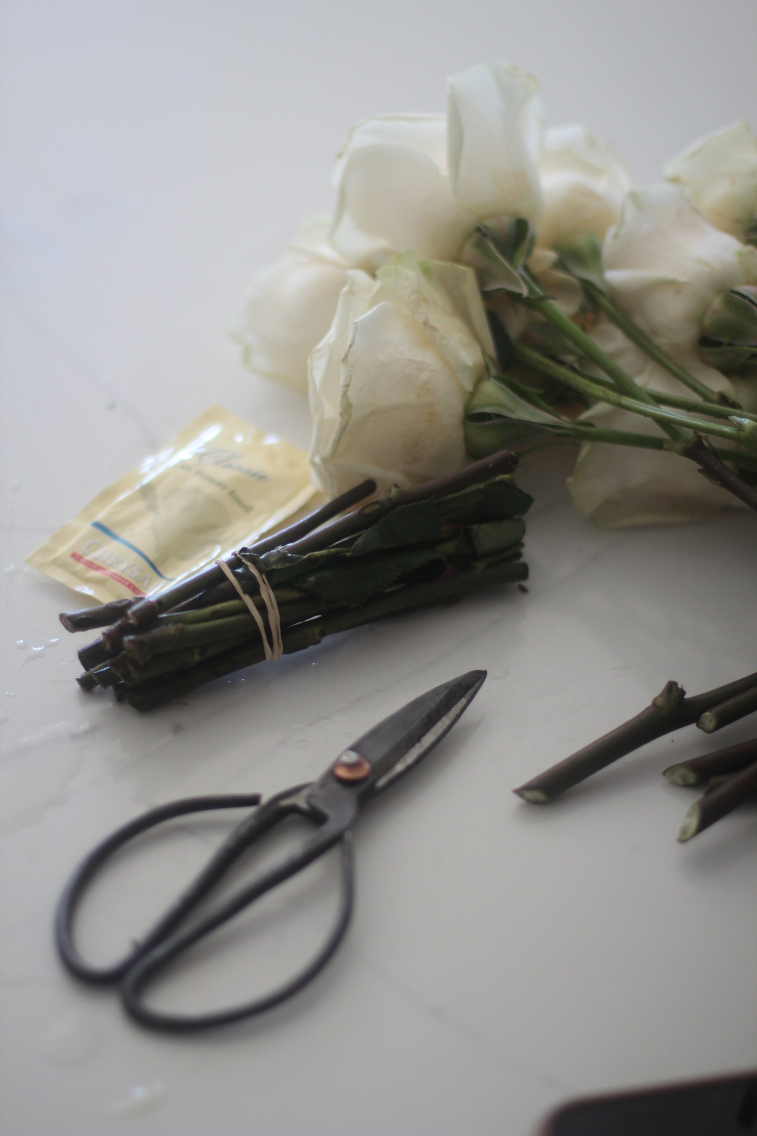 Floral Arranging &amp; Counter Herbs