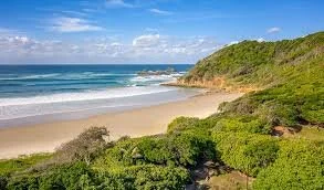 Scenic beach with lush greenery, sandy shore, and ocean waves under a blue sky with clouds.