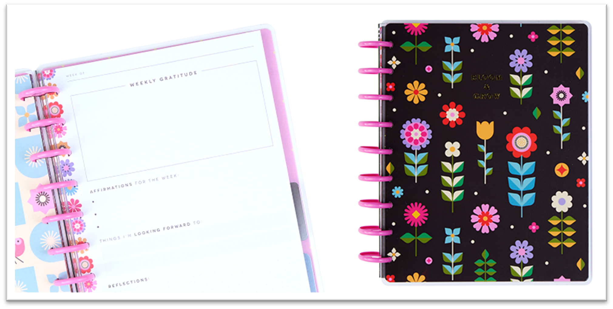 Large Double Pic binder.png