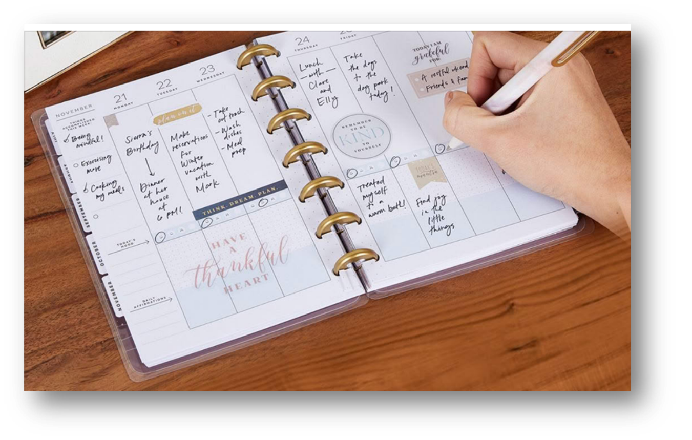 Planner in use - hand 1.png