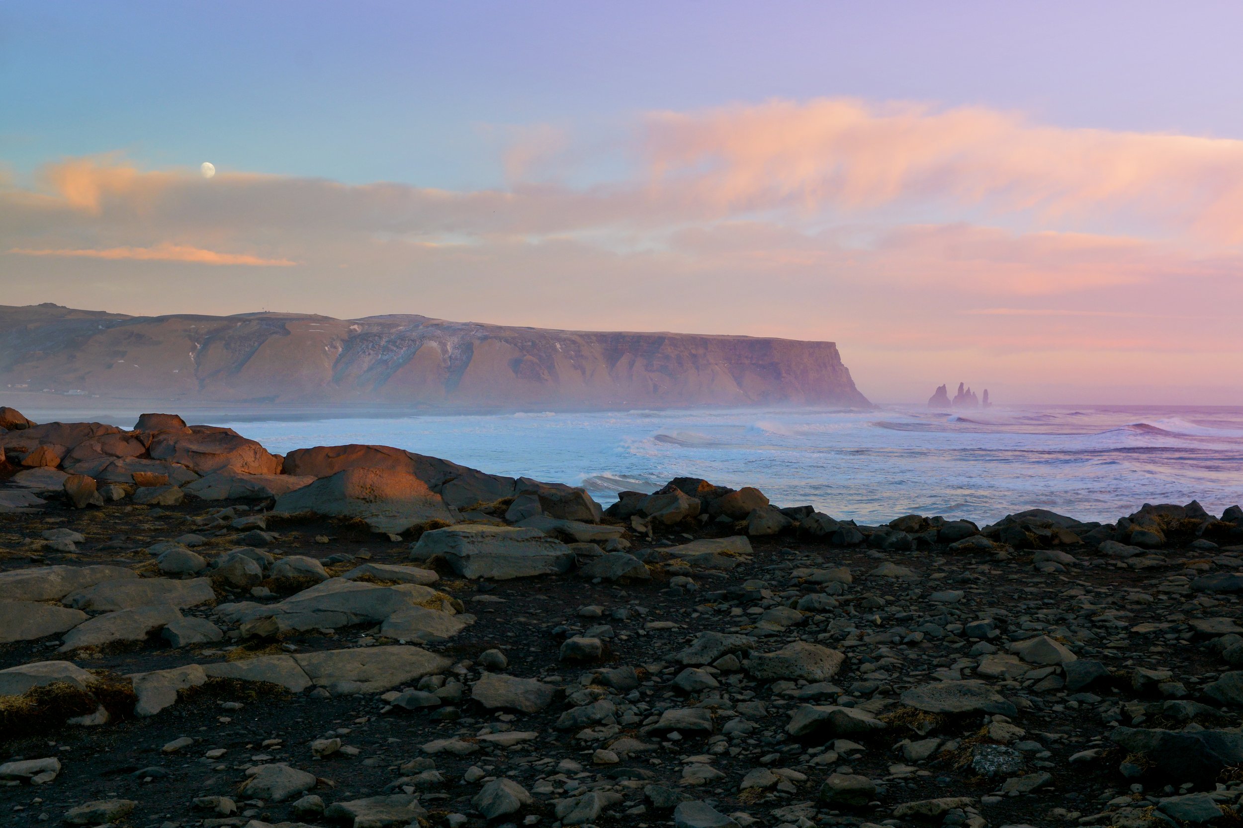 DSC_8374.JPG