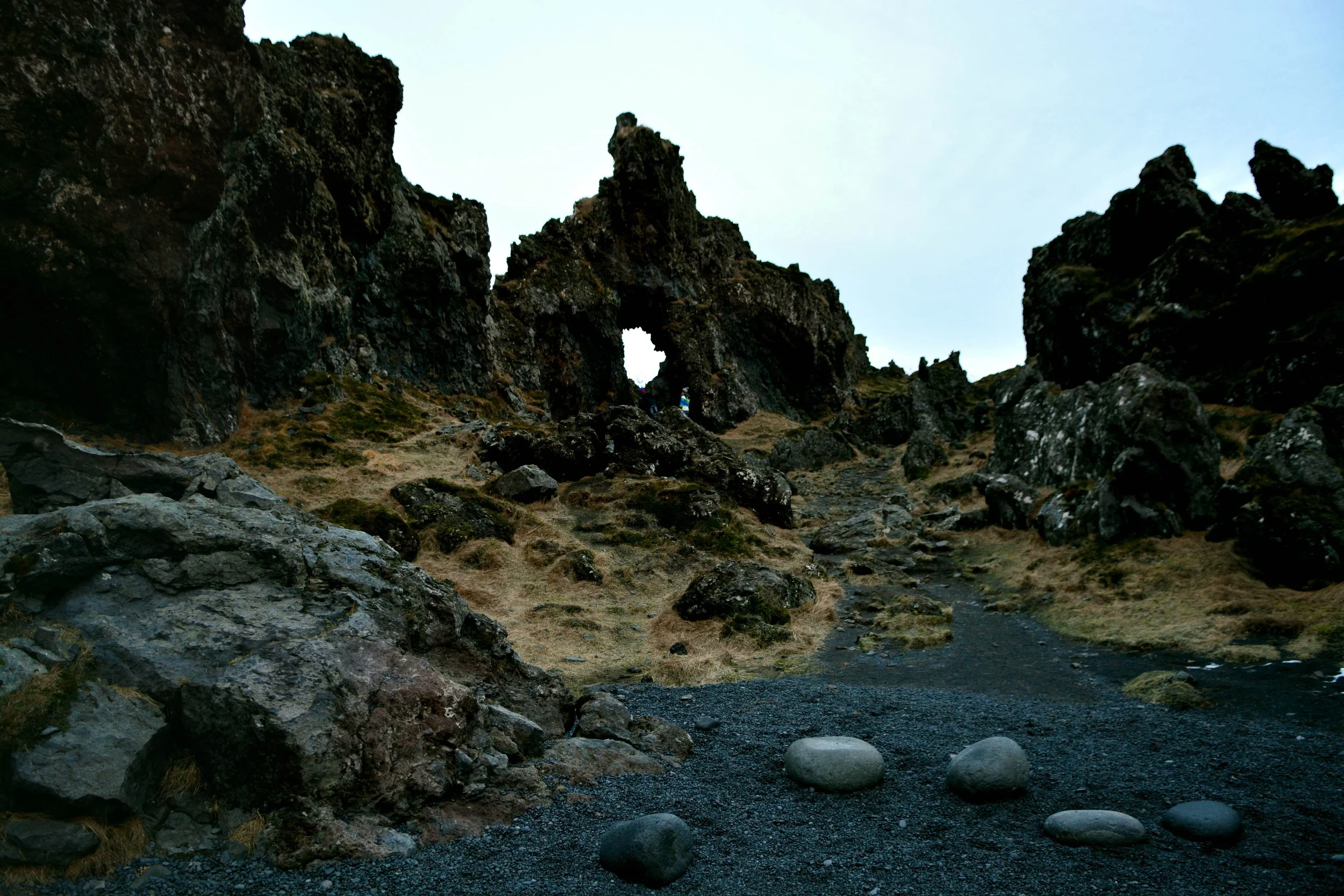 DSC_5399csml.jpg