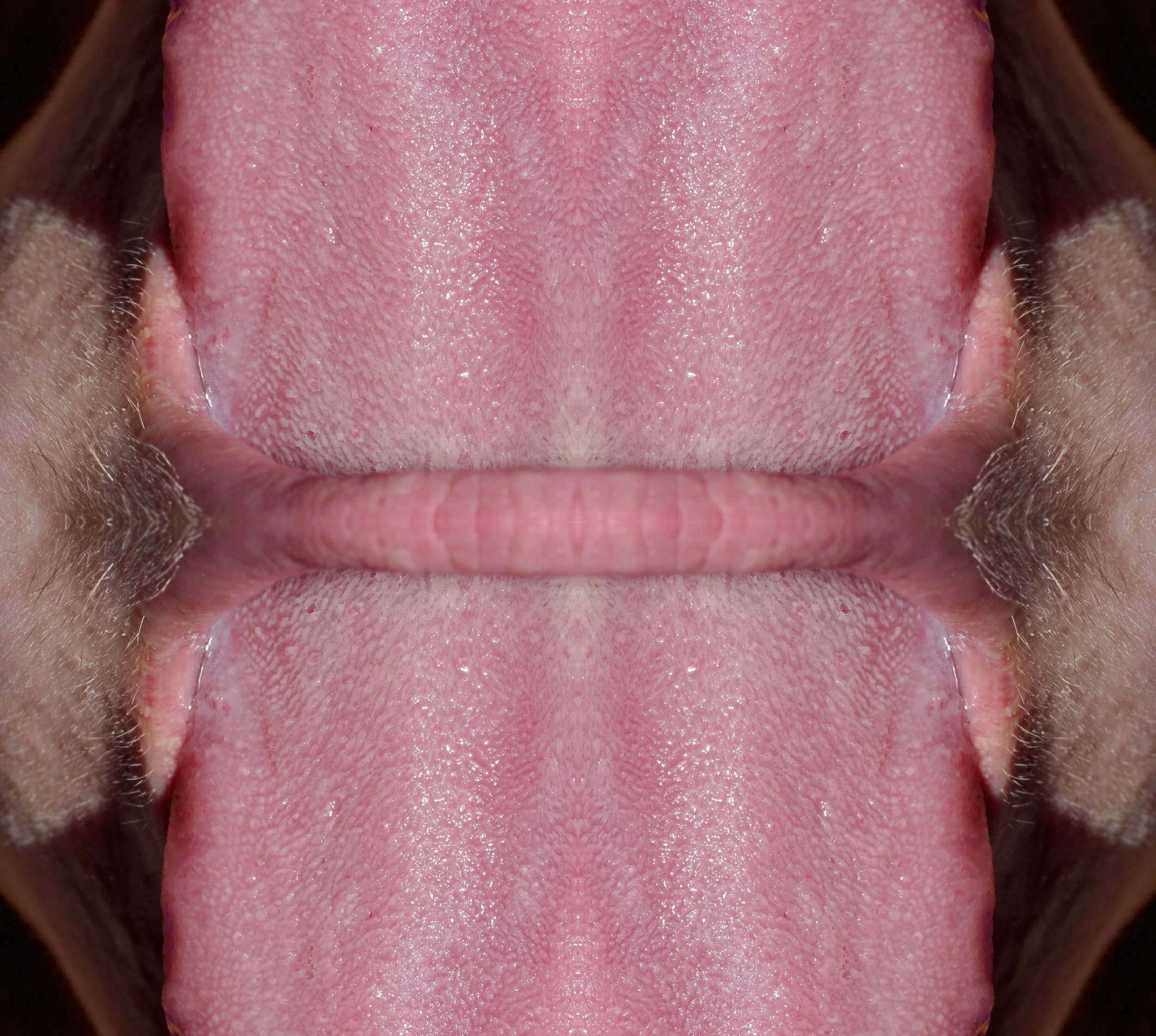 _DSC0878234smal.jpg