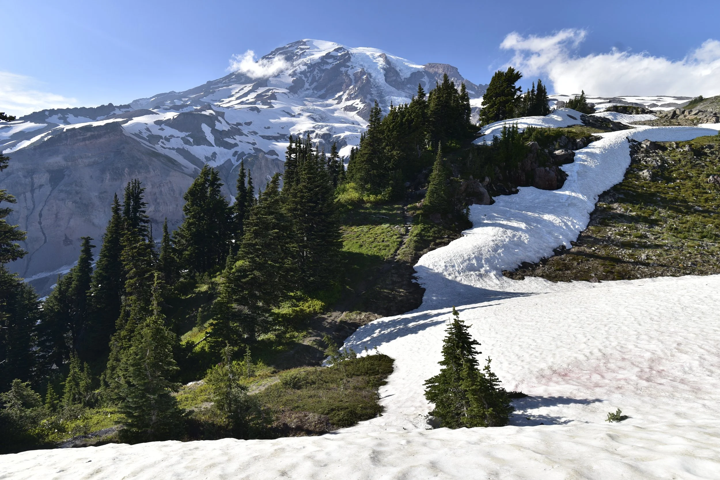 _DSC6281.JPG