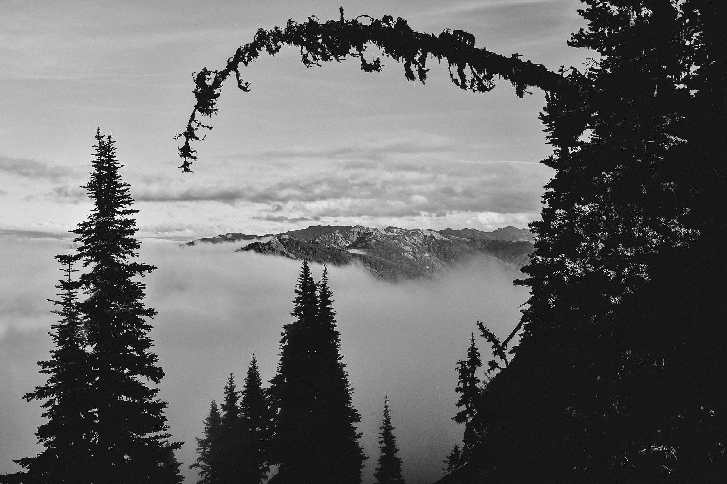 _DSC7917.jpg
