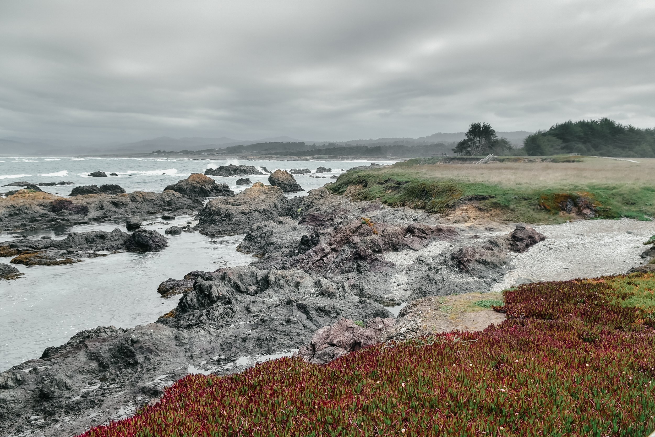 _DSC5228.jpg