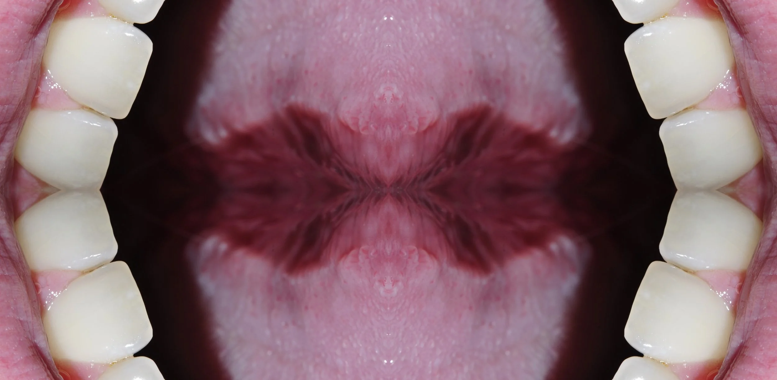 _DSC0910234small.jpg