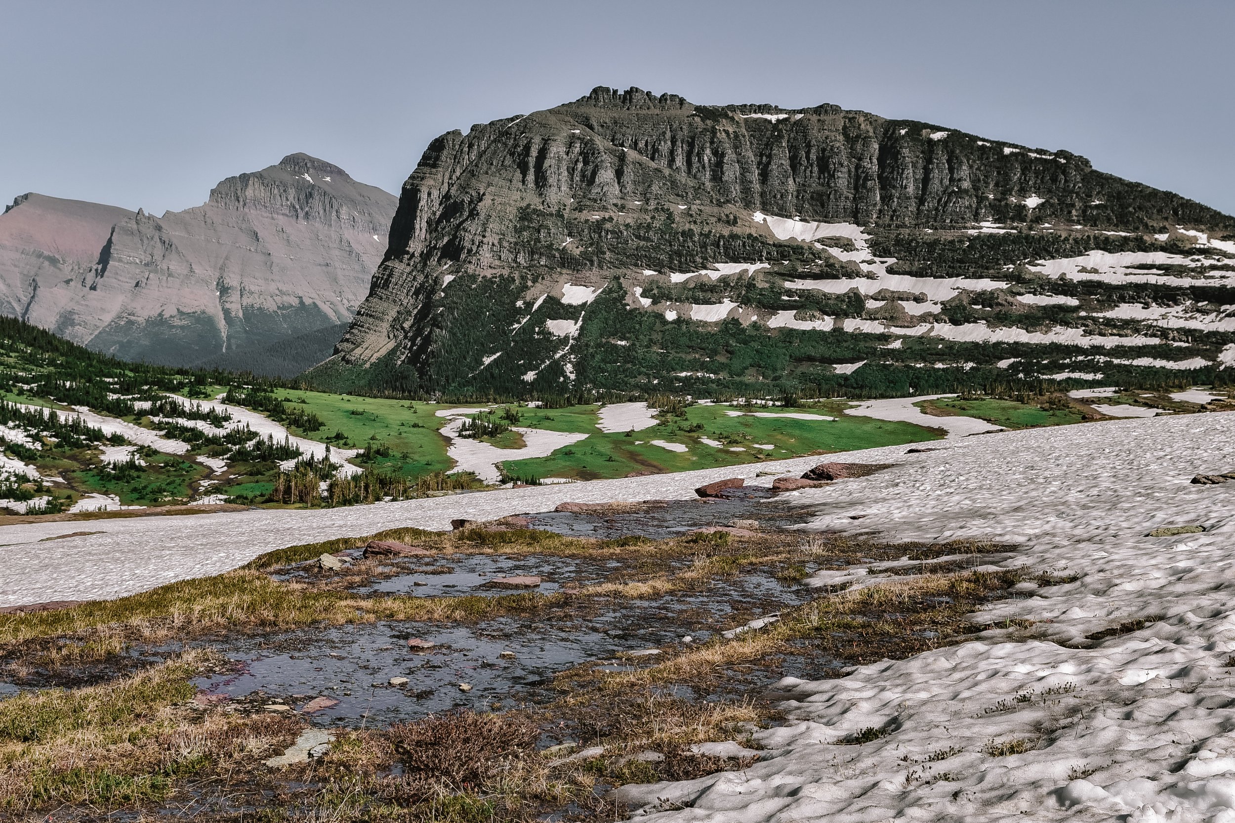 DSC_7572.jpg