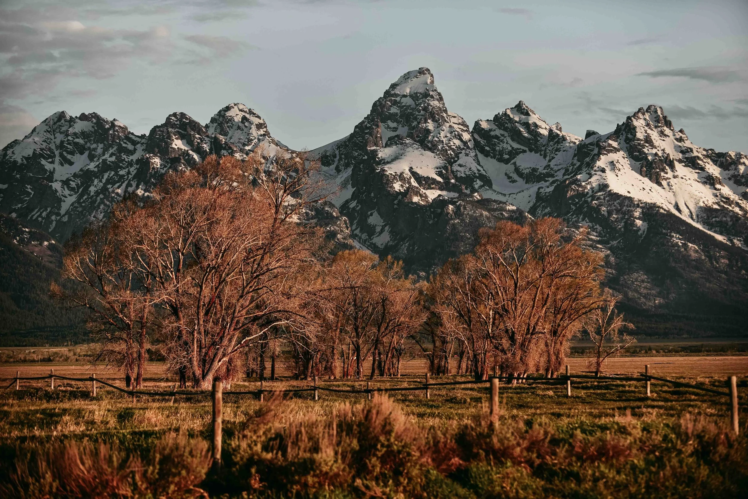 DSC_5742.jpg