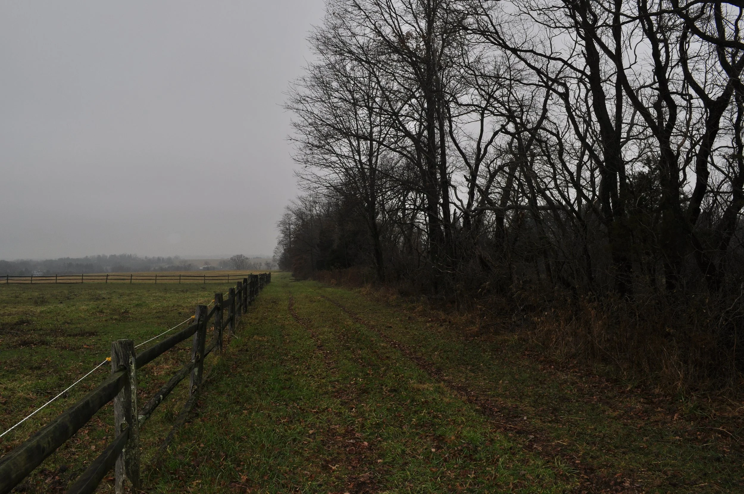 _DSC0383.JPG