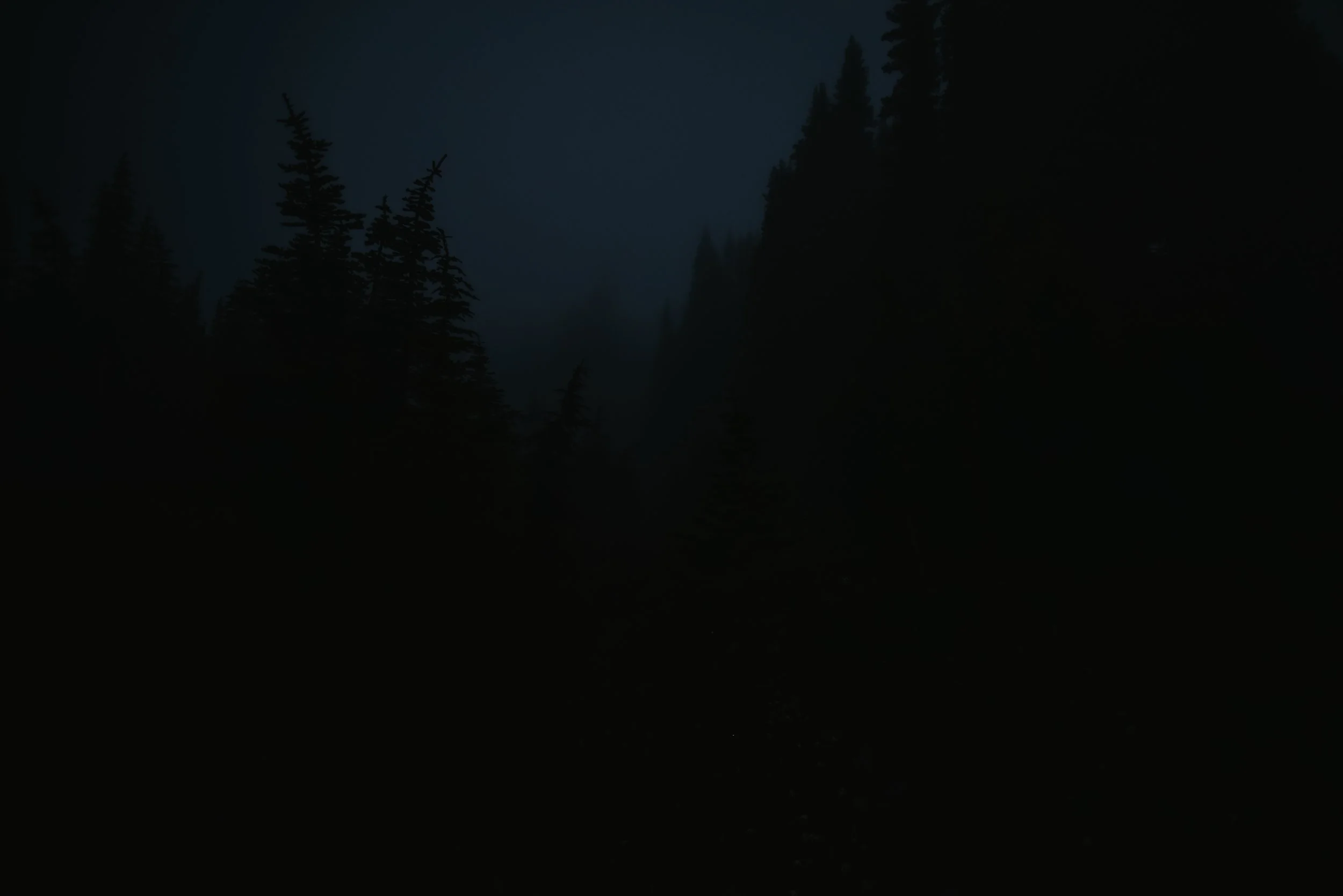 DSC_2610.jpg