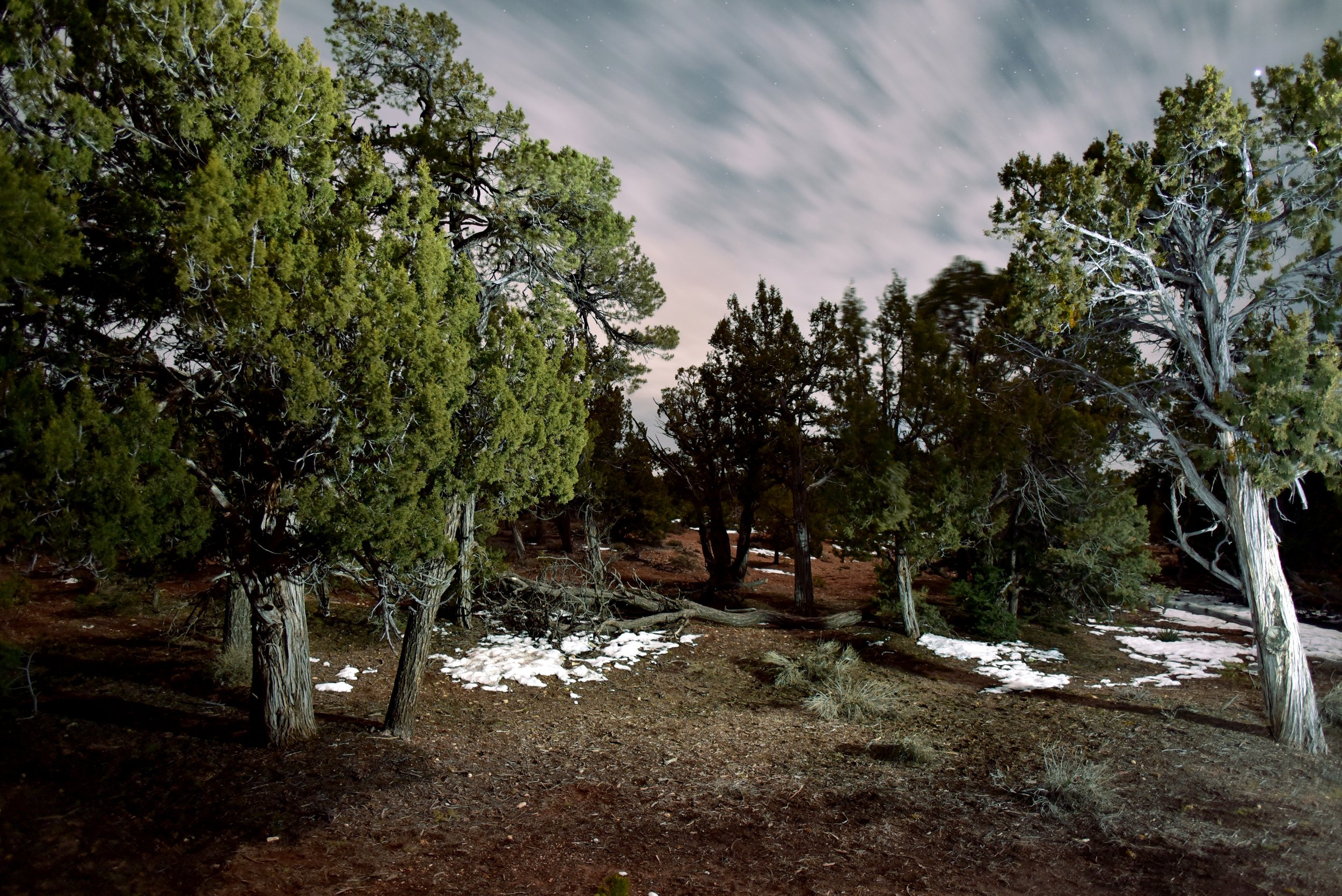 DSC_8339sml.jpg