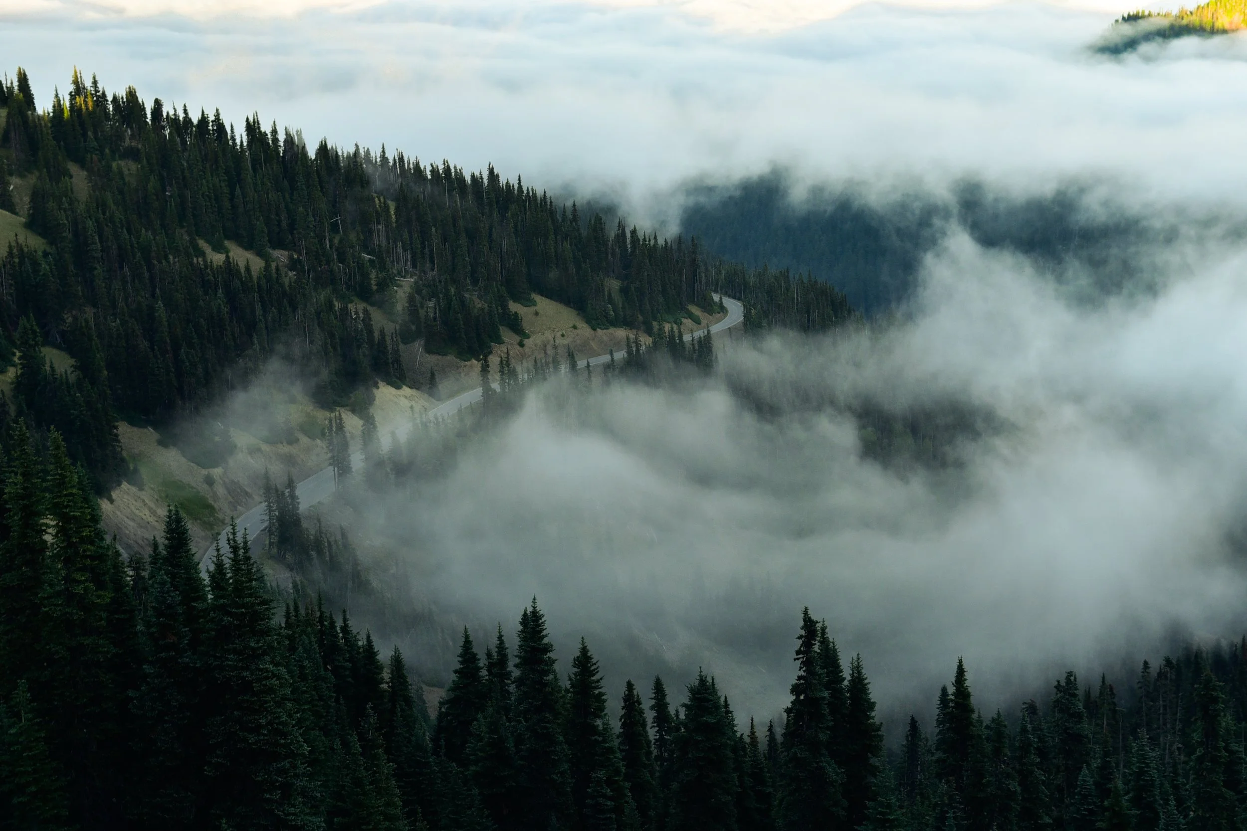 _DSC8210.jpg