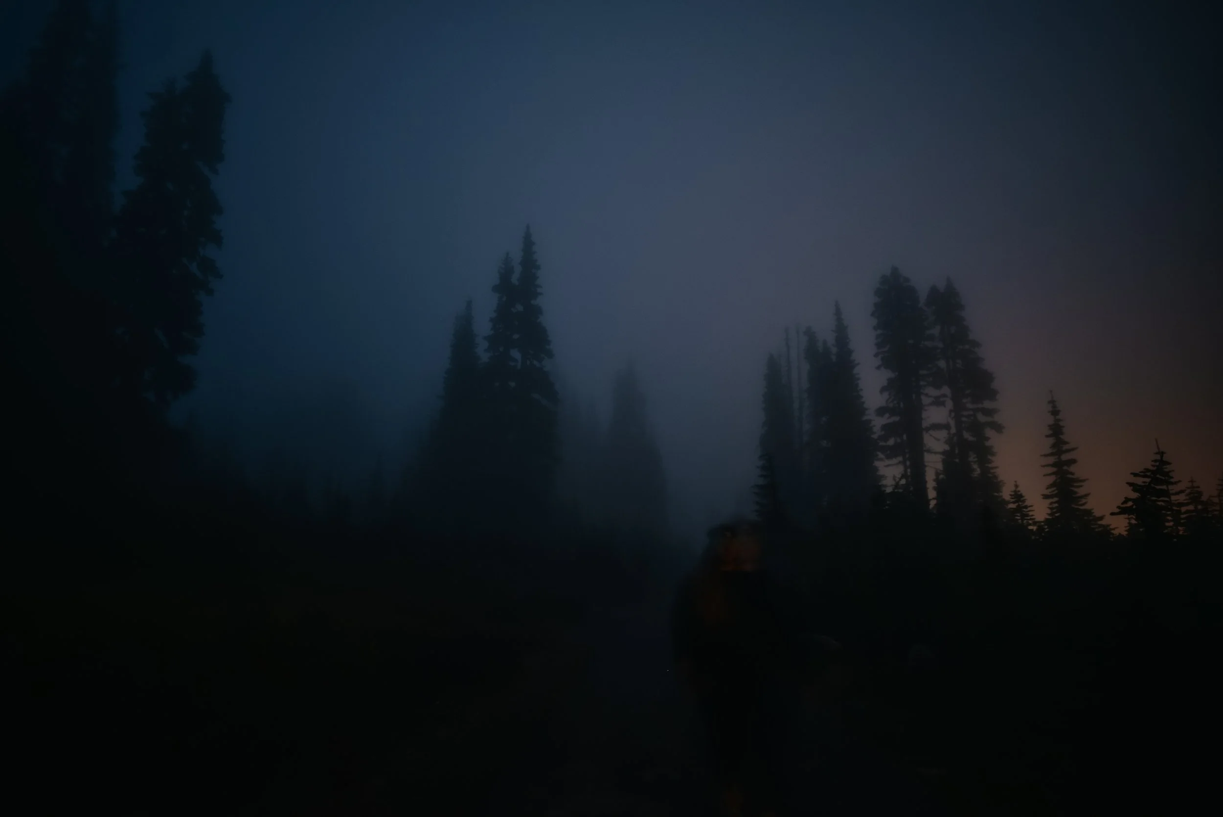 DSC_2590.jpg