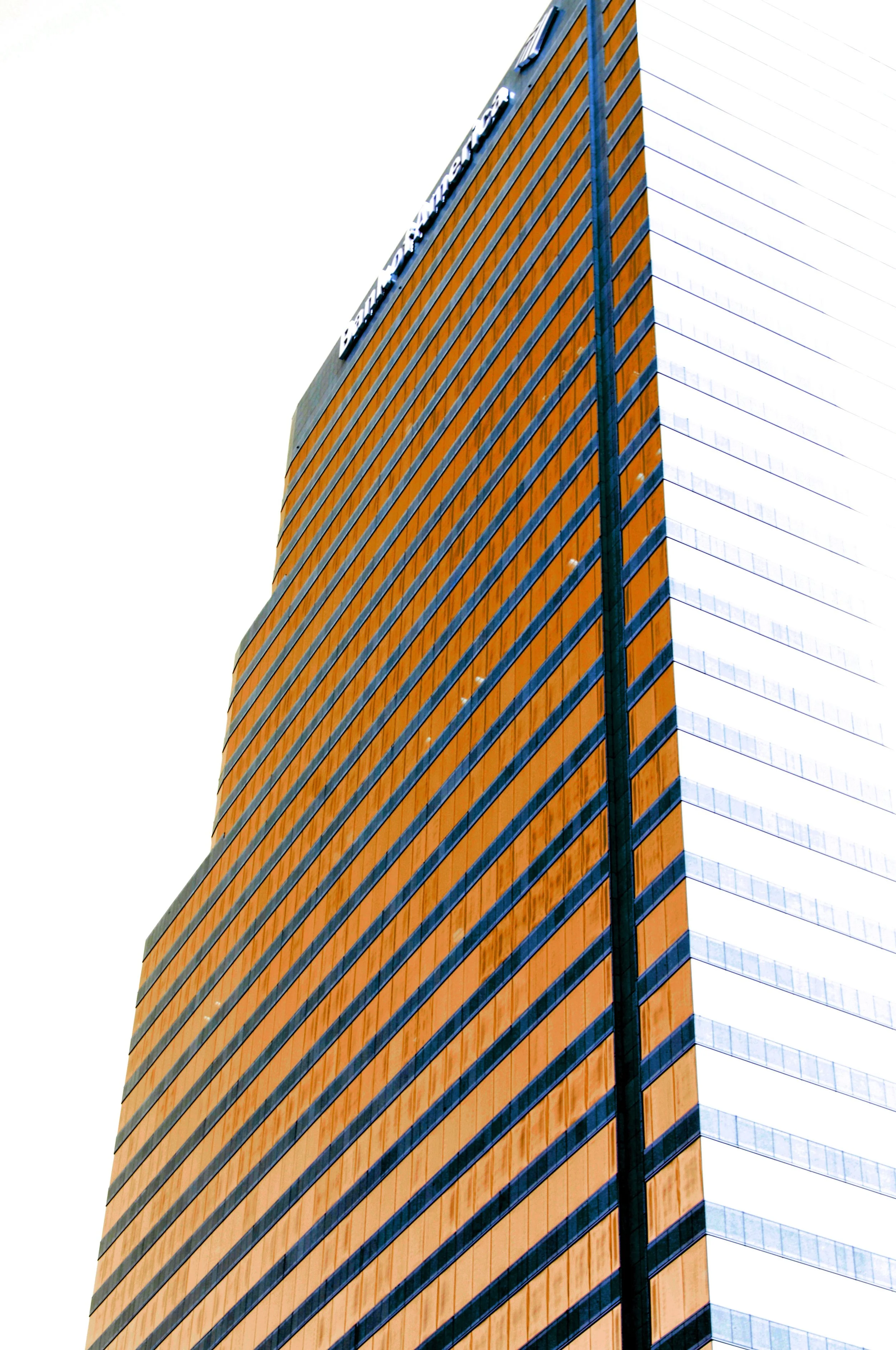 _DSC0860.JPG