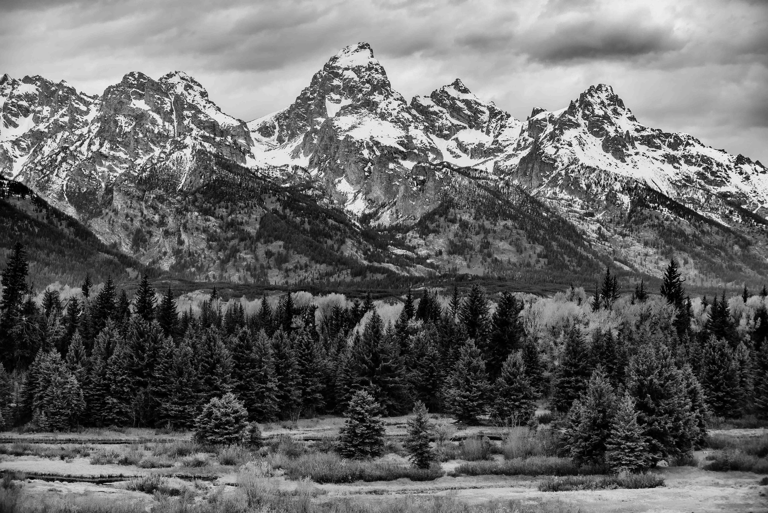 DSC_6376.jpg