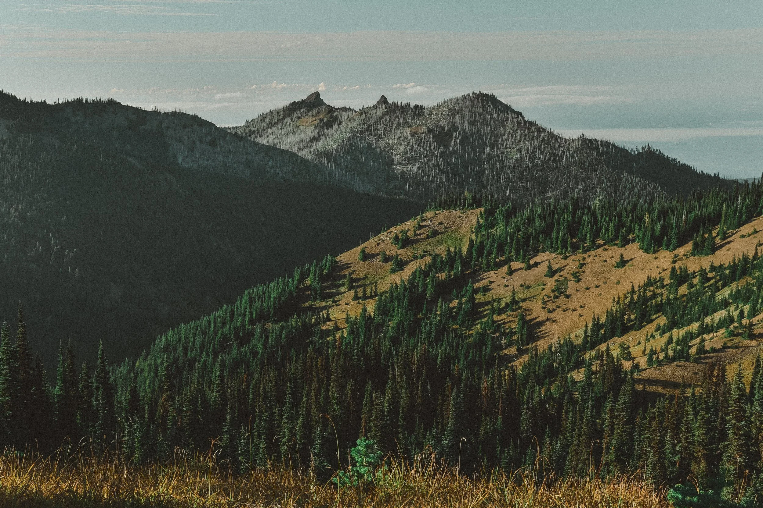 _DSC7584.jpg