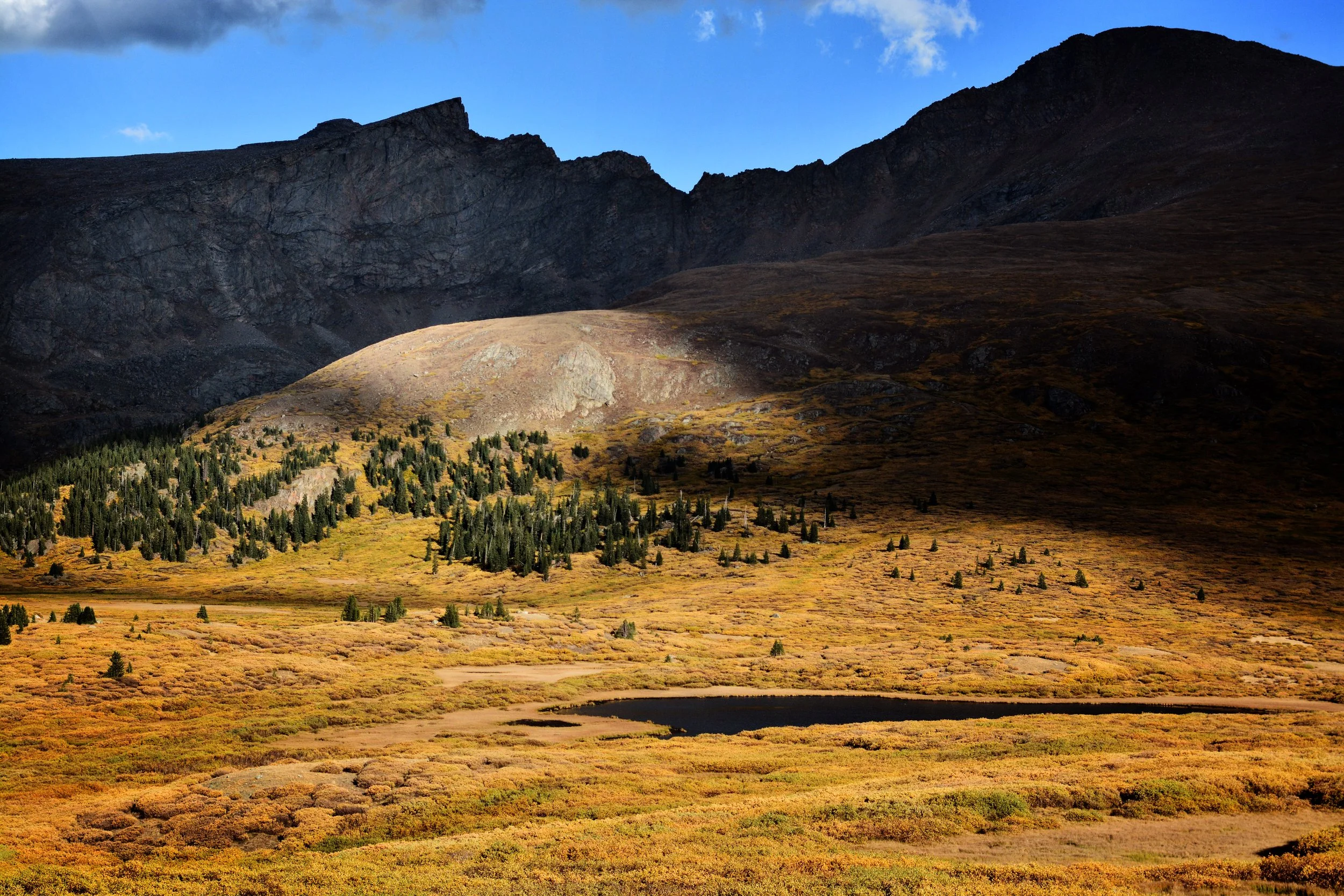 DSC_8197sml.jpg