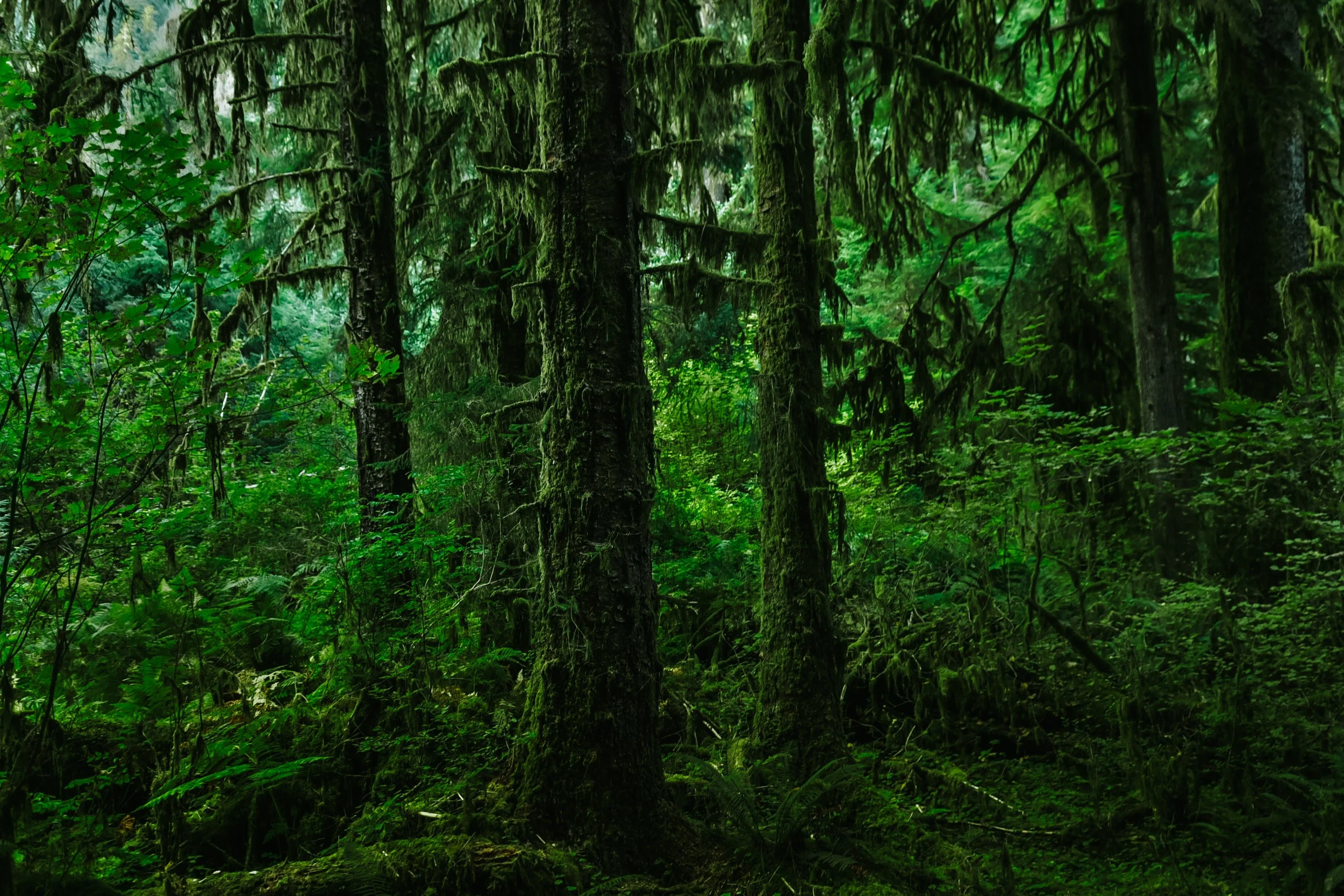 _DSC7227.jpg