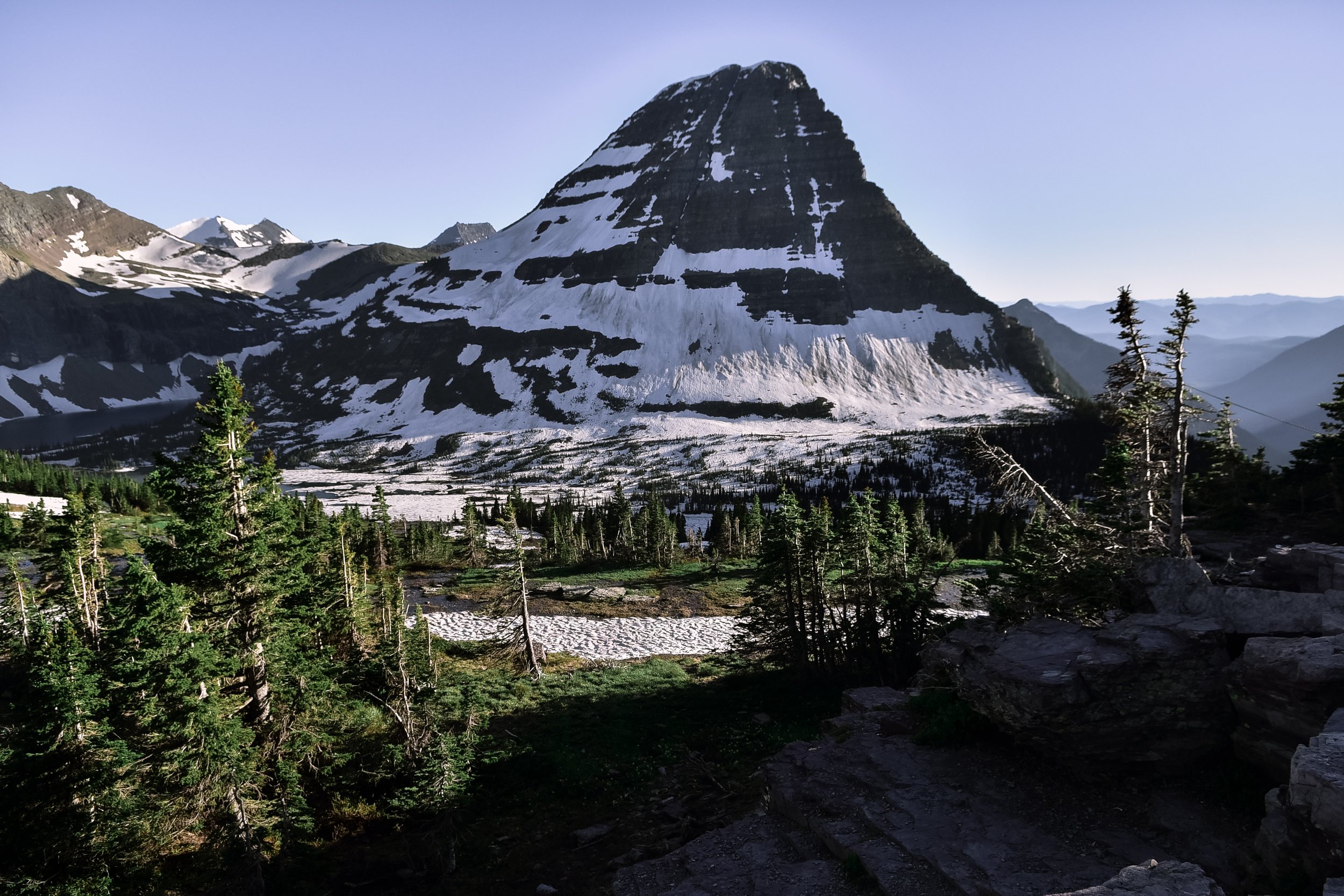 DSC_8204.jpg