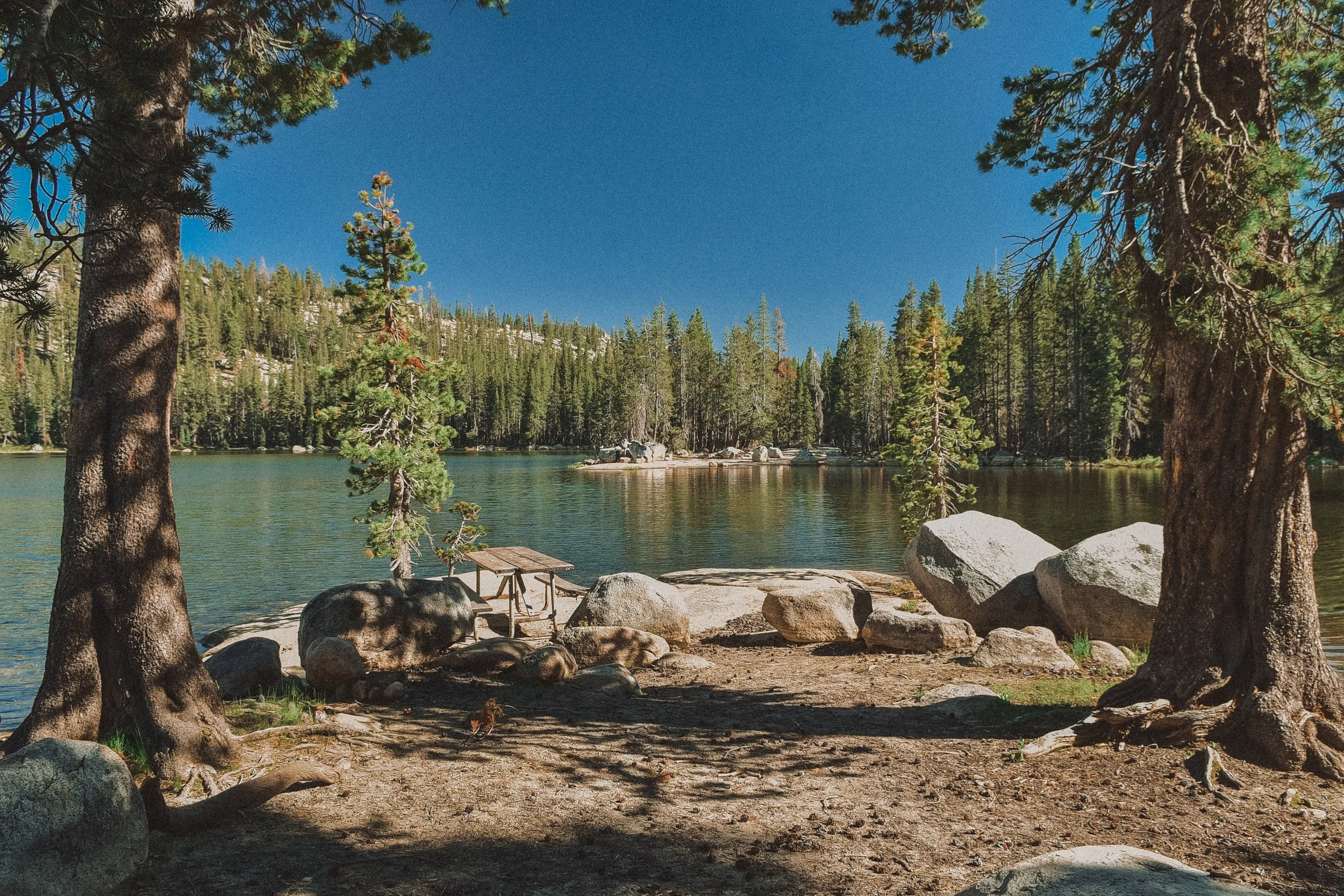 DSC_0502.jpg