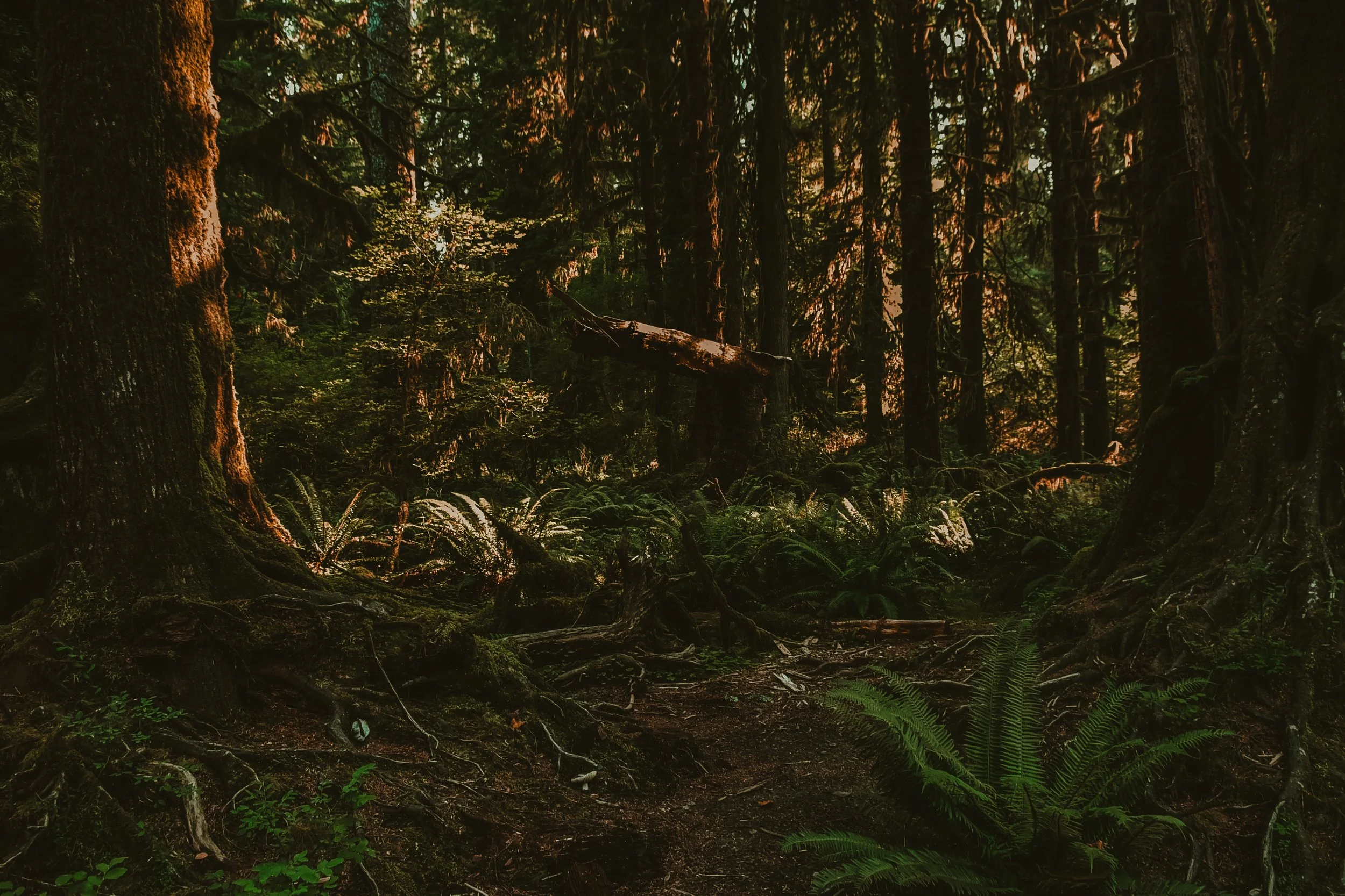 _DSC7120.jpg