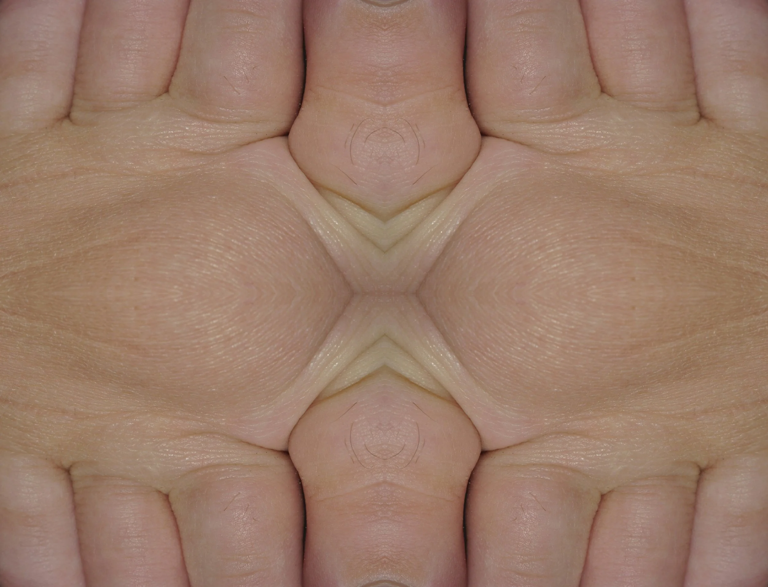_DSC0468789small.jpg