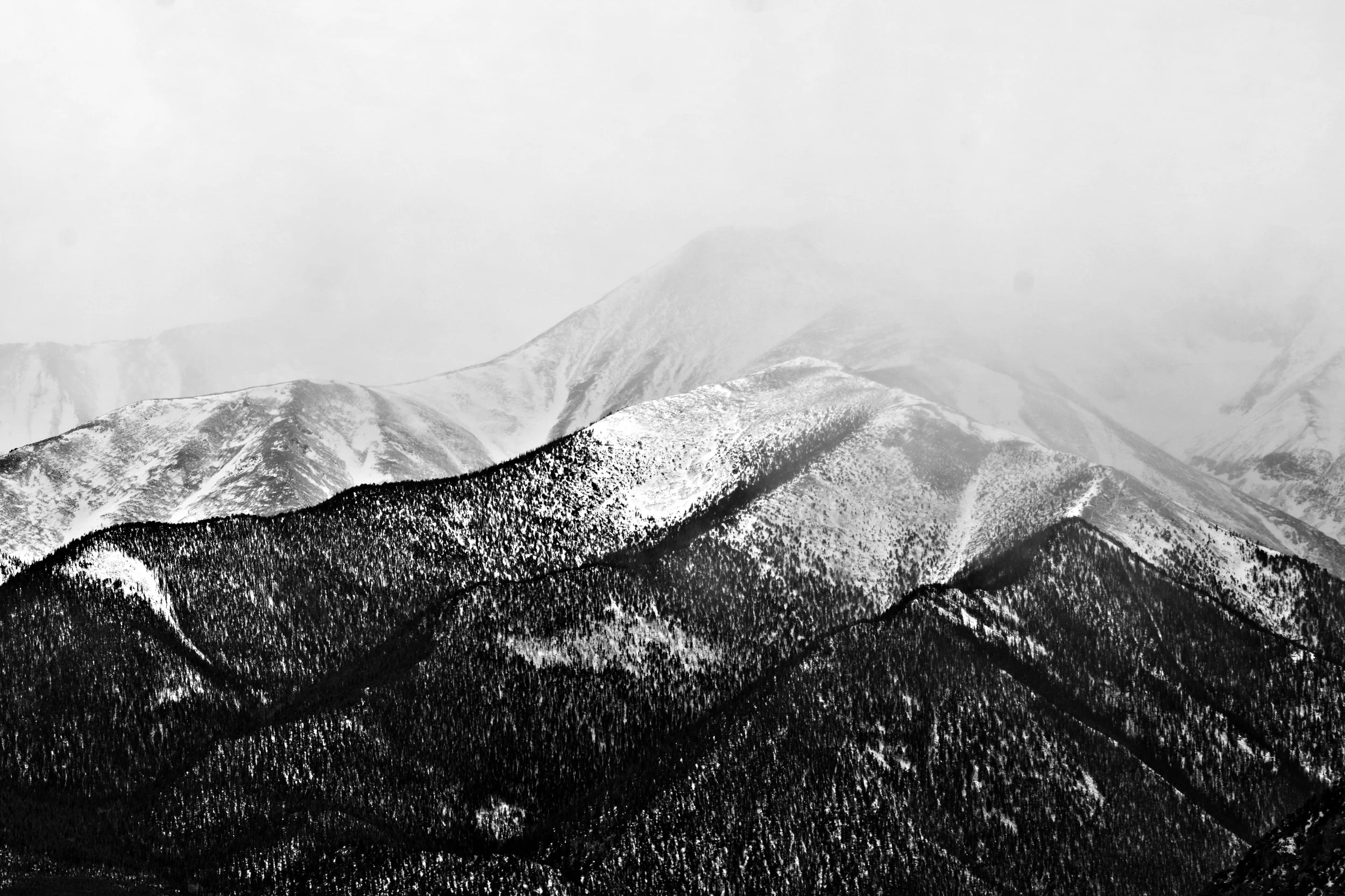 DSC_6982hk.jpg