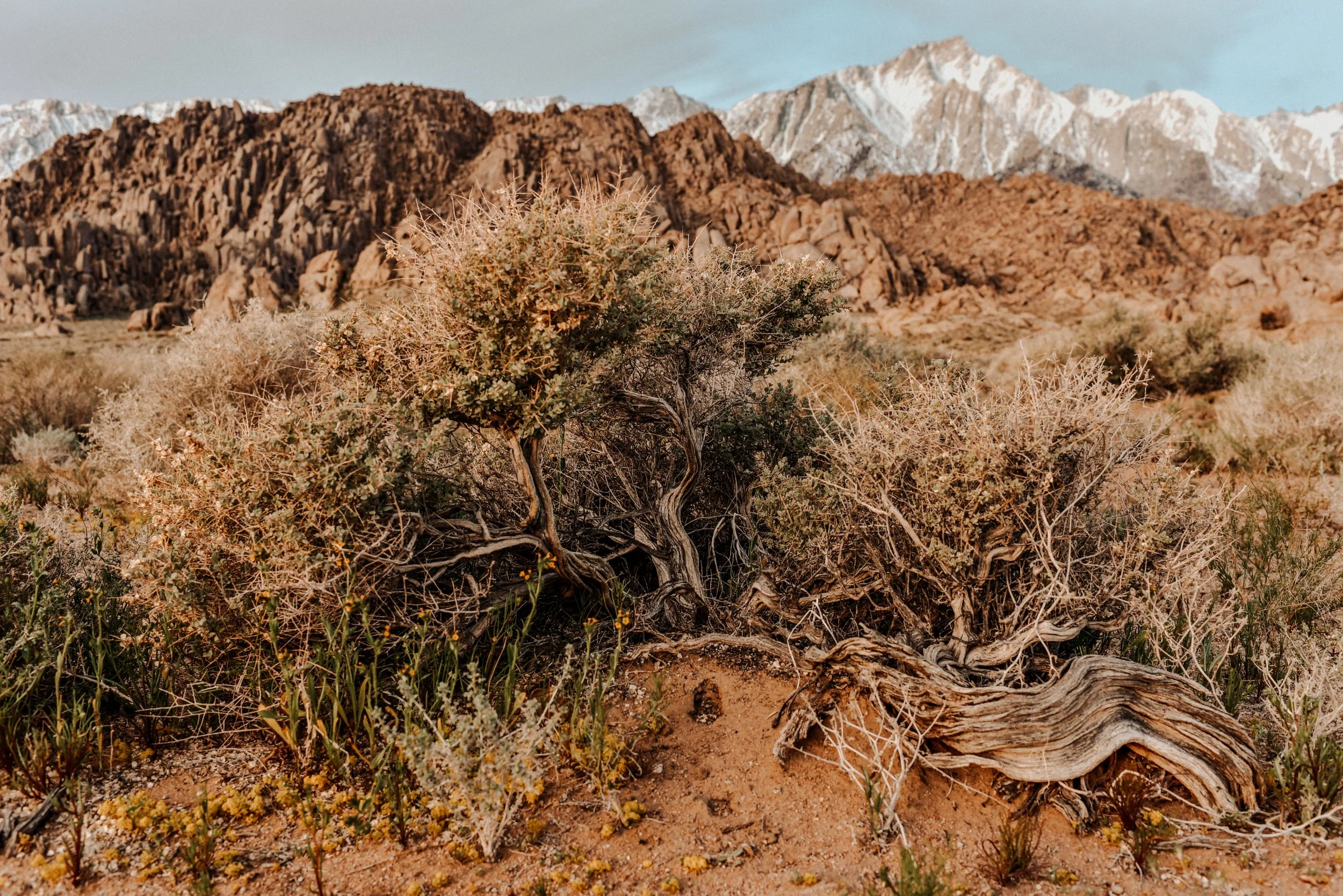 Alabama Hills- Lone Pine, California
