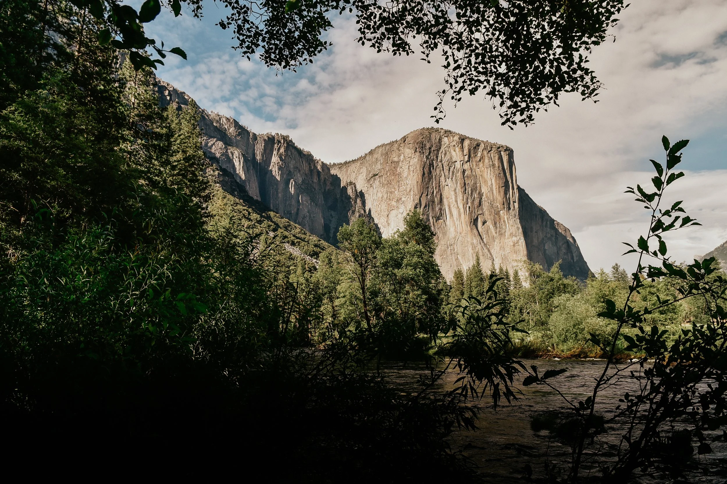 Yosemite National Park