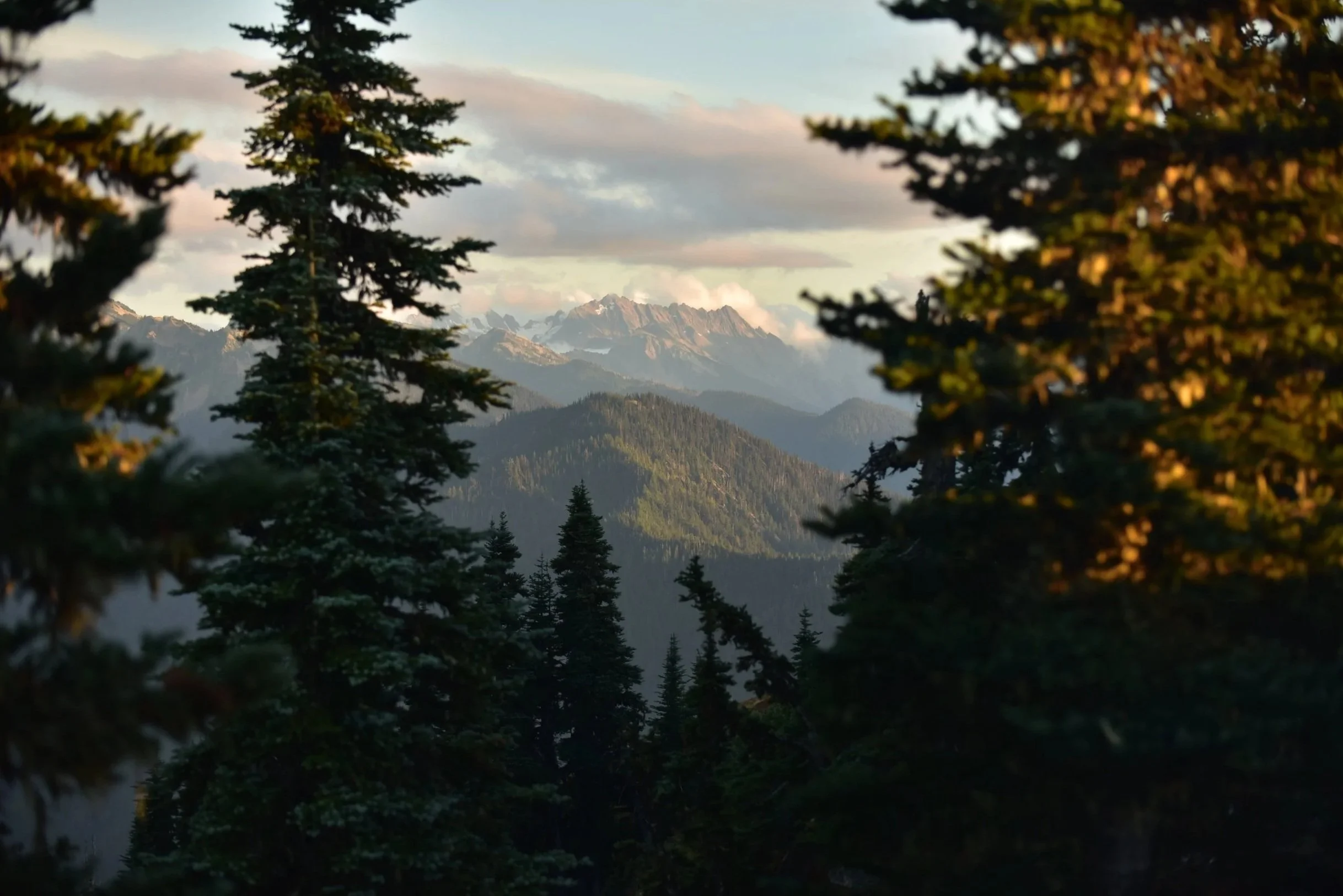 DSC_5811.jpg