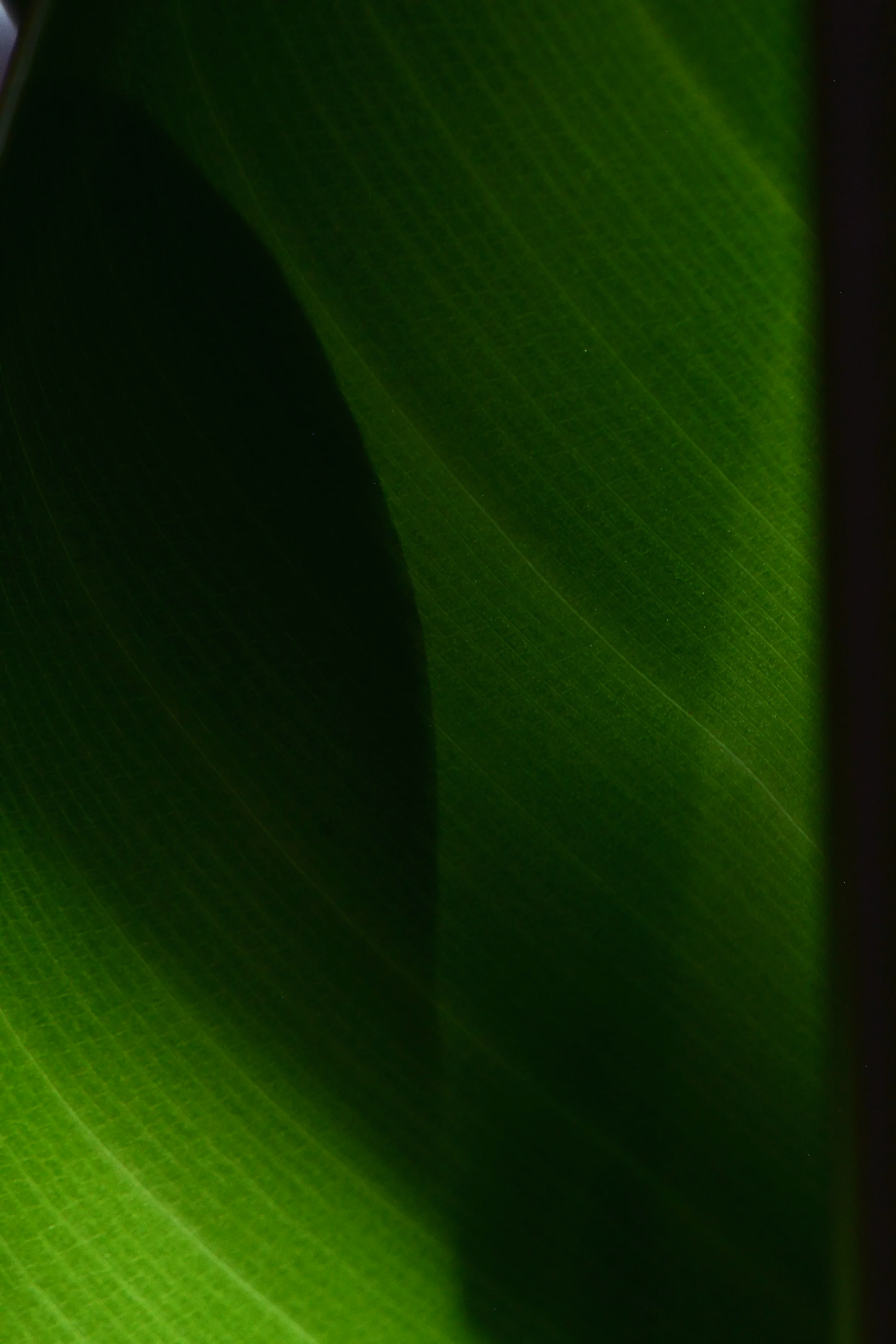 DSC_2389.png