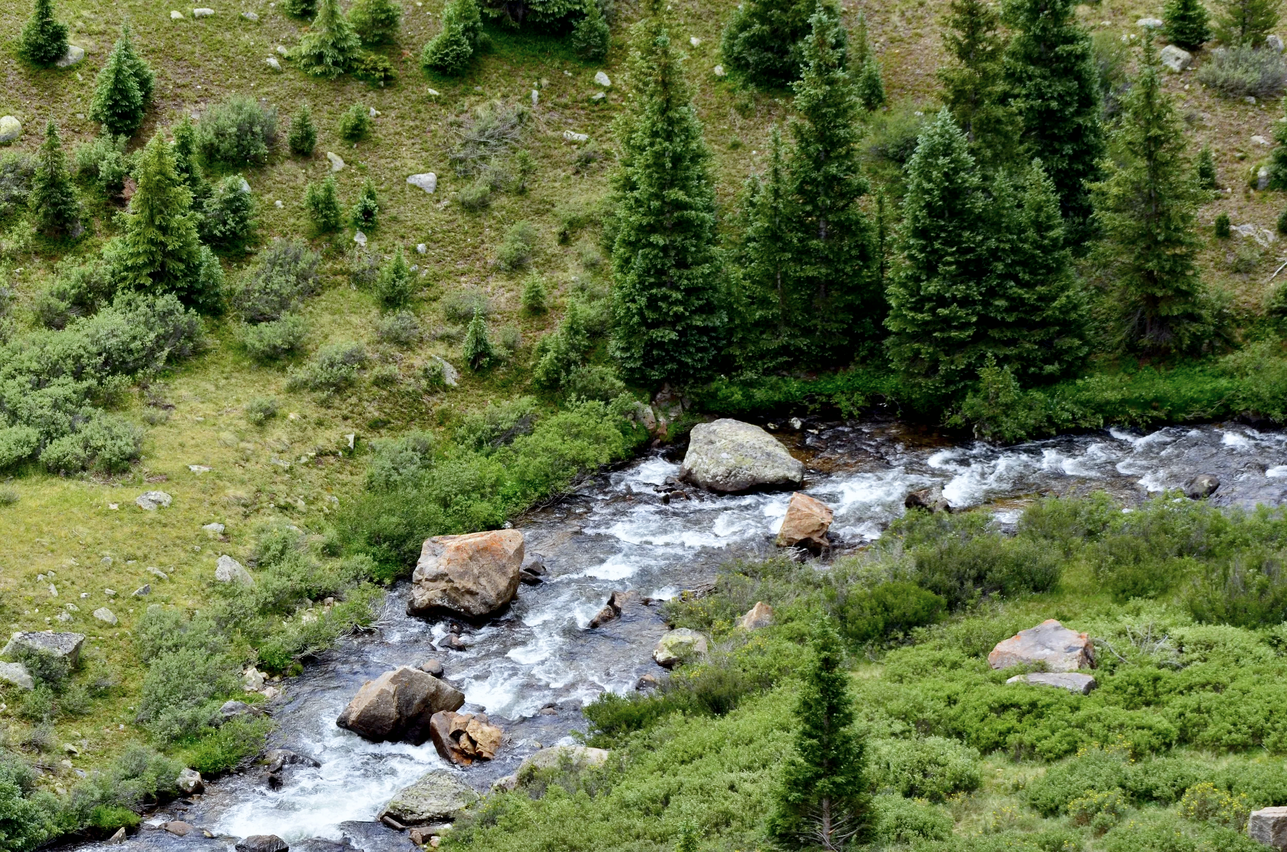 _DSC0386.png