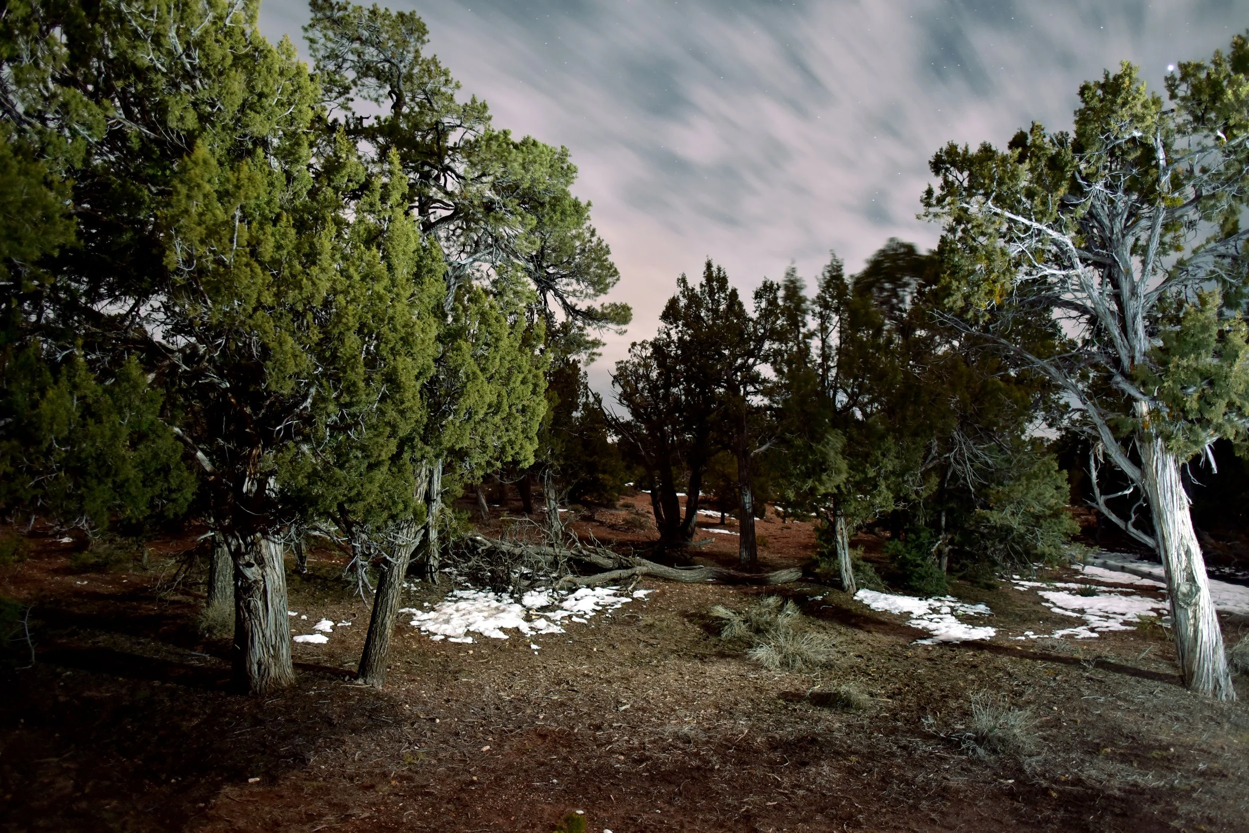 DSC_8339sml.jpg