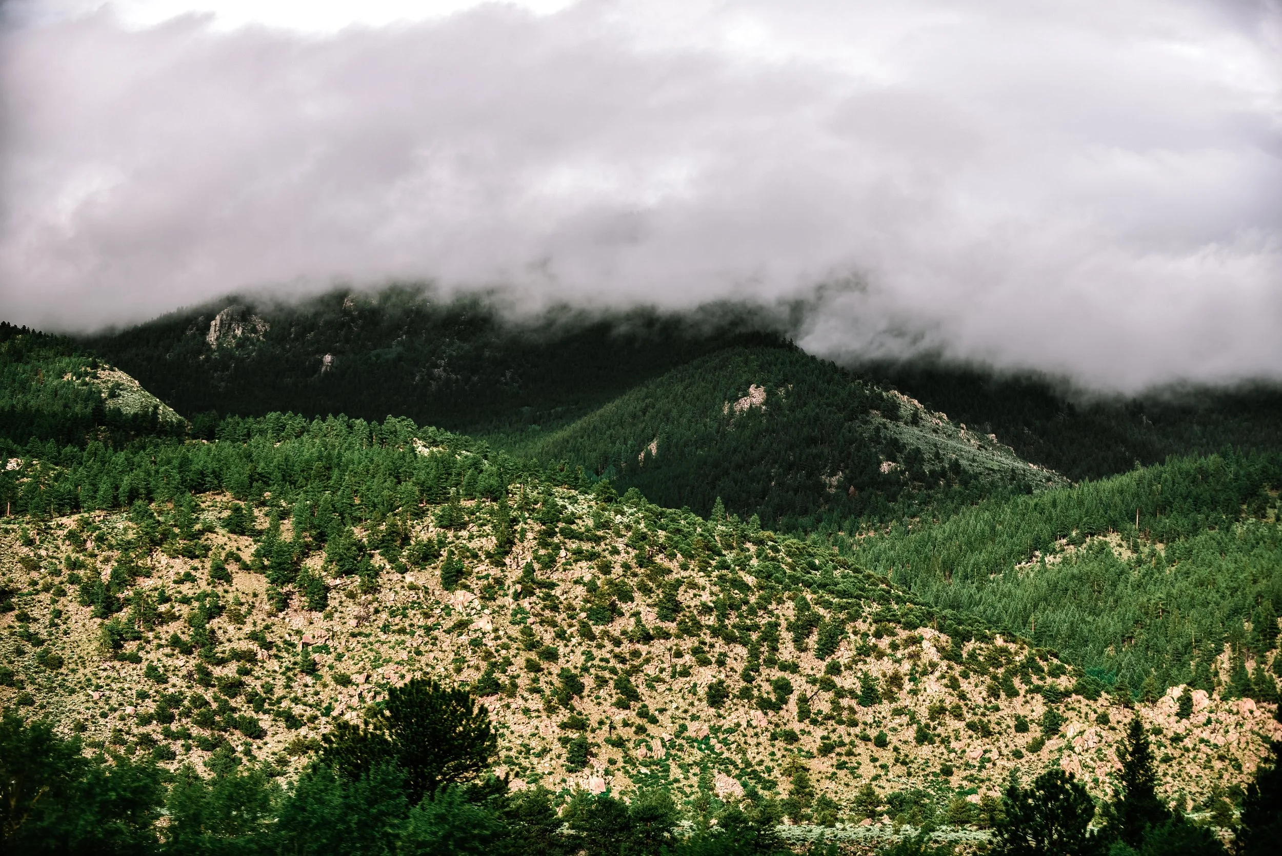DSC_0731.jpg