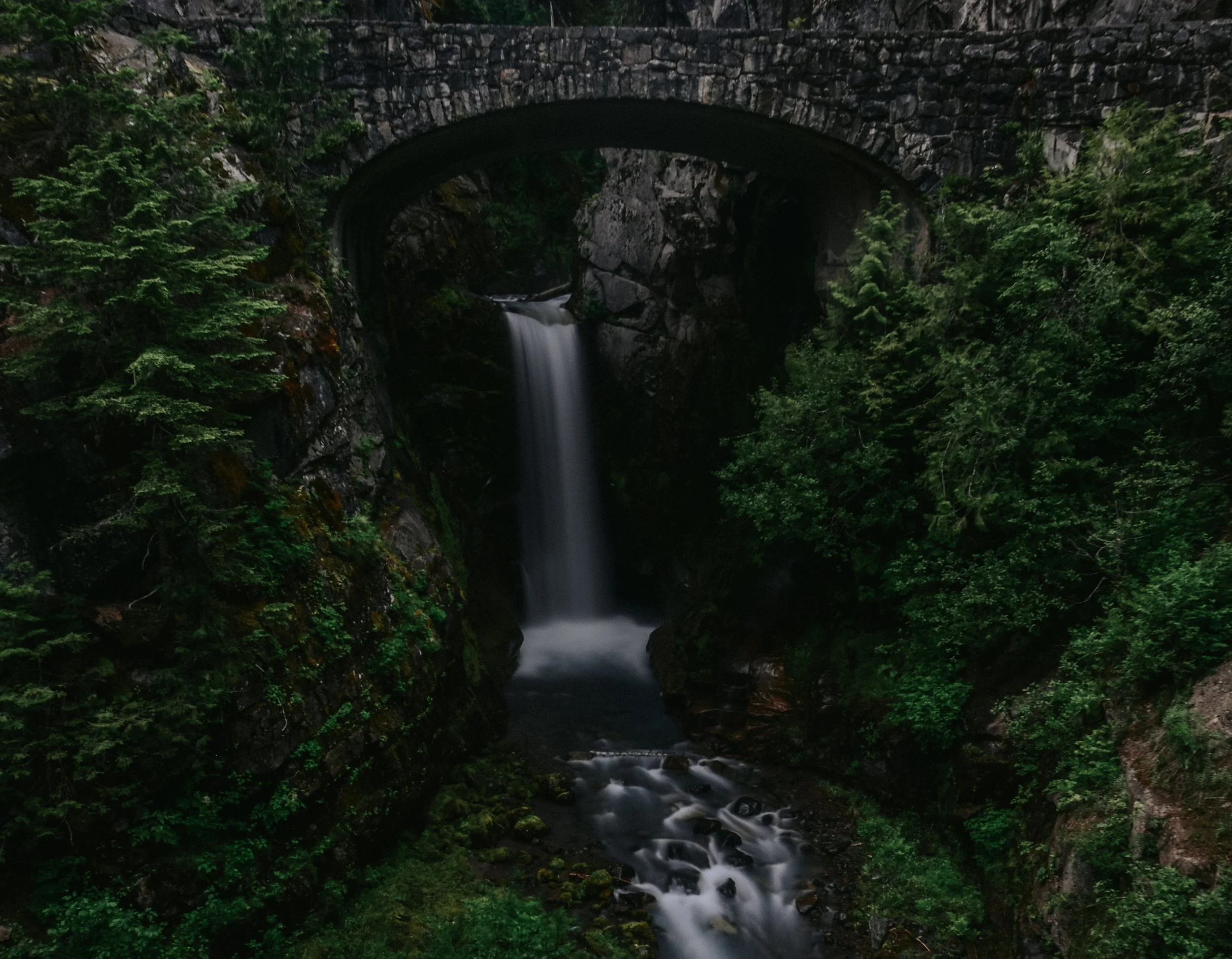 DSC_2248-2.jpg