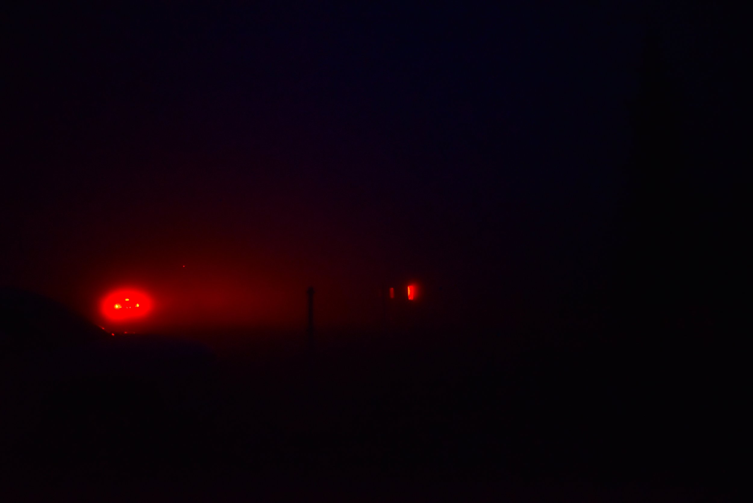 DSC_2477.jpg