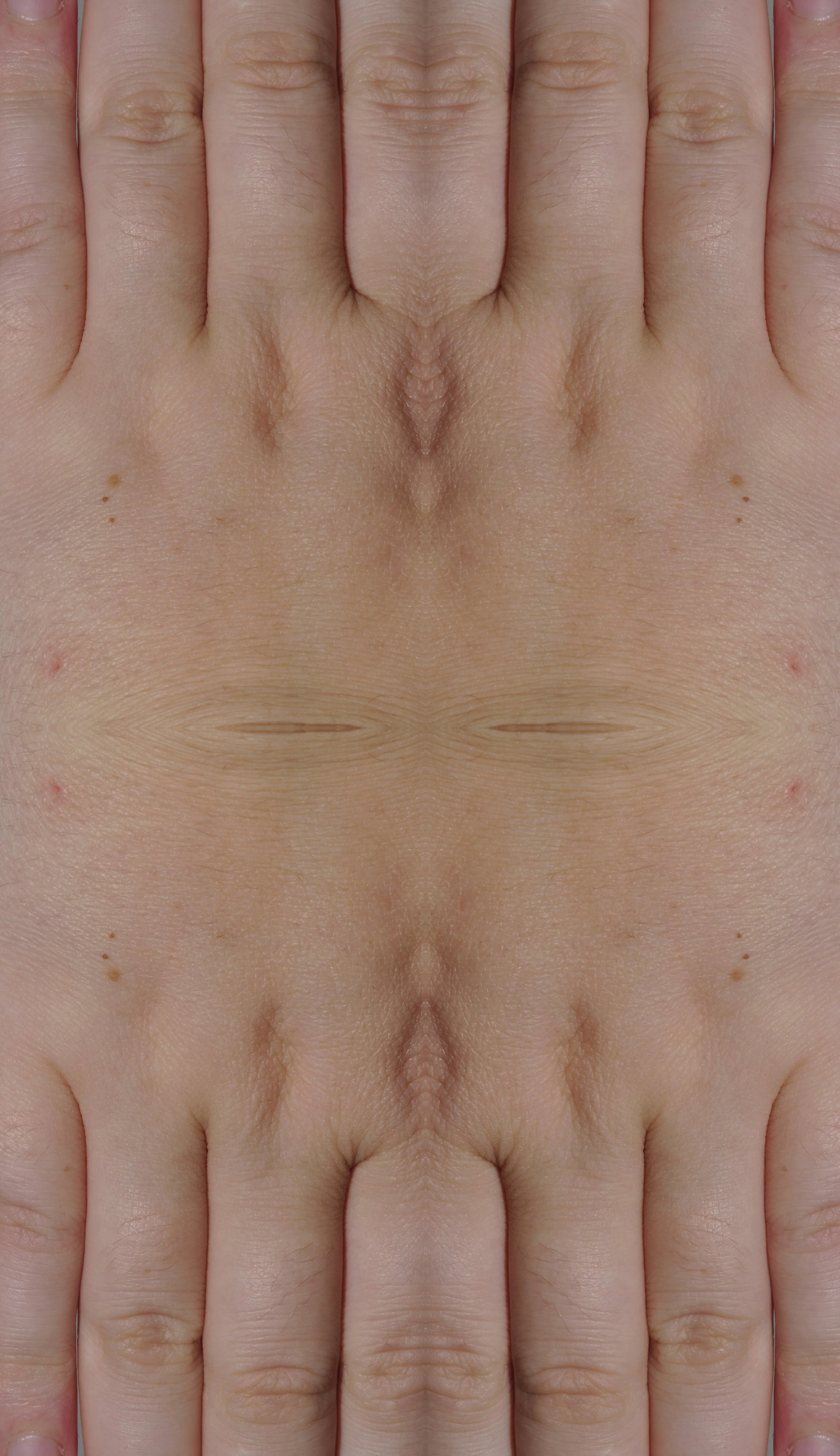 _DSC092246small.jpg
