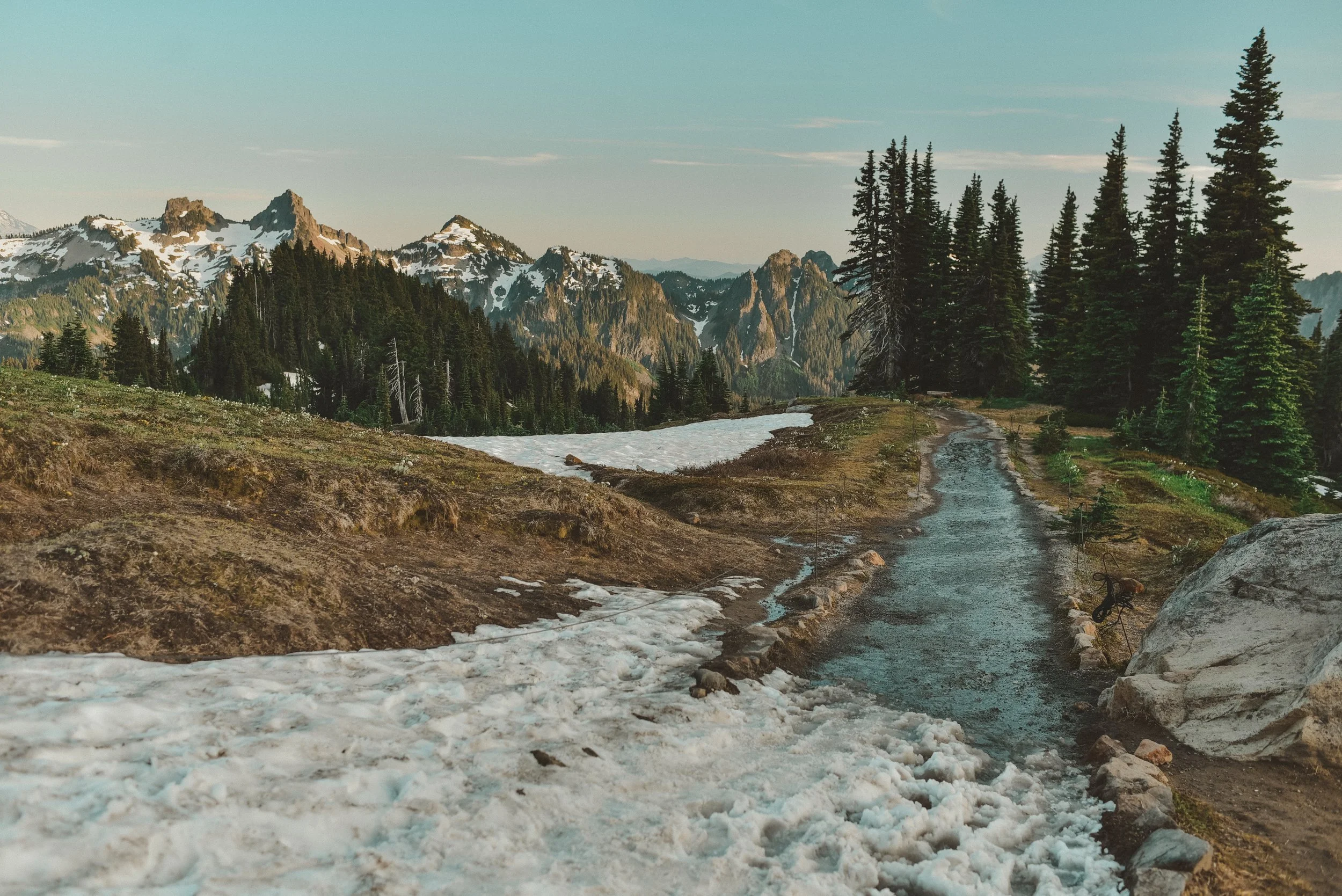 DSC_3504.jpg