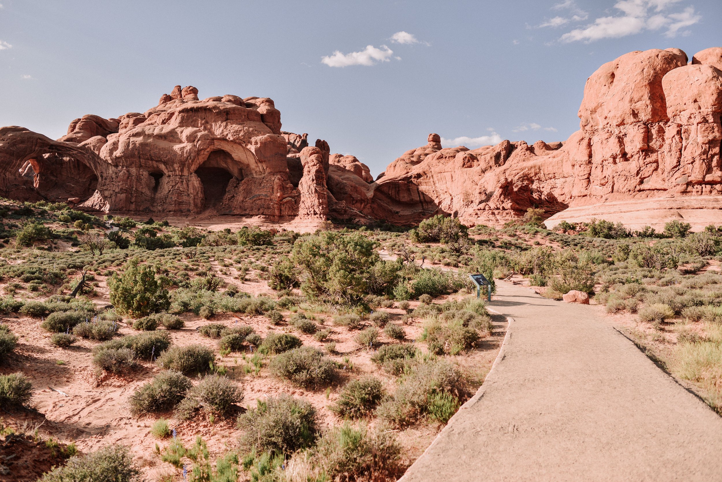 DSC_1606-2.jpg