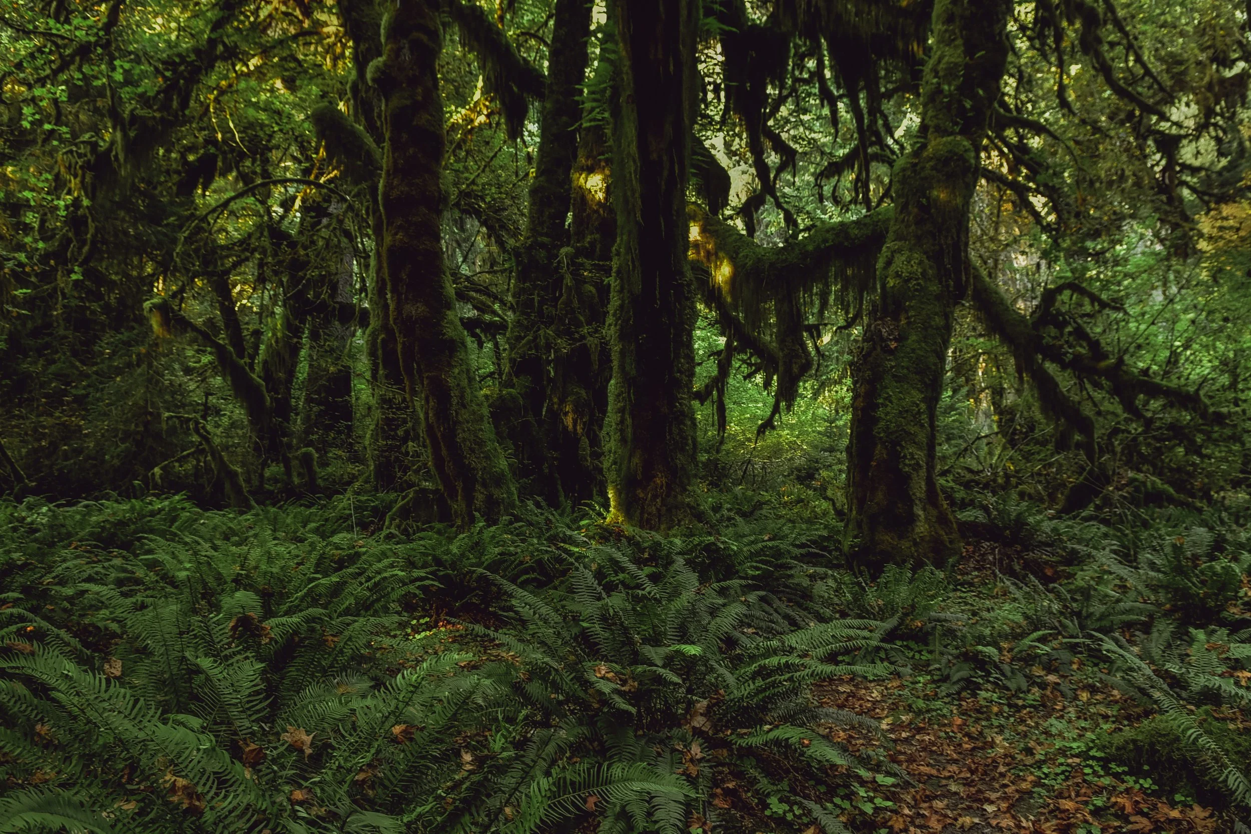 _DSC7101.jpg