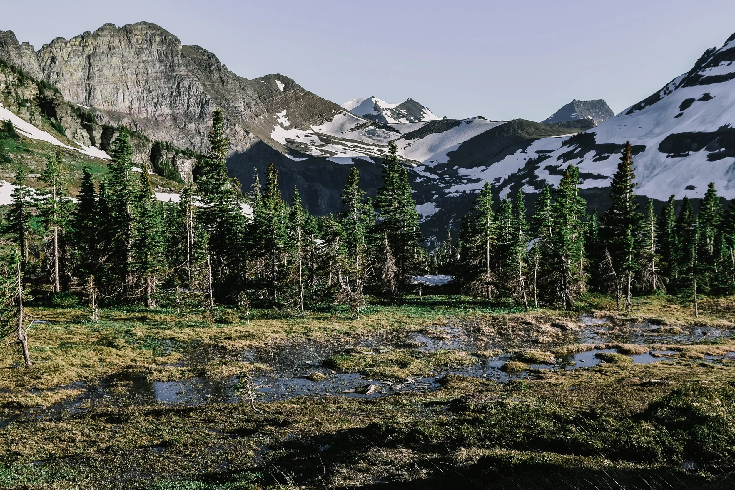 DSC_8166.jpg