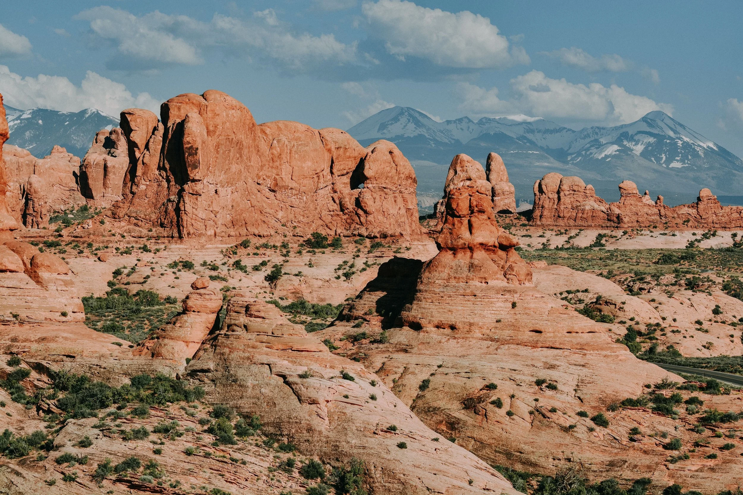 DSC_6388-2.jpg