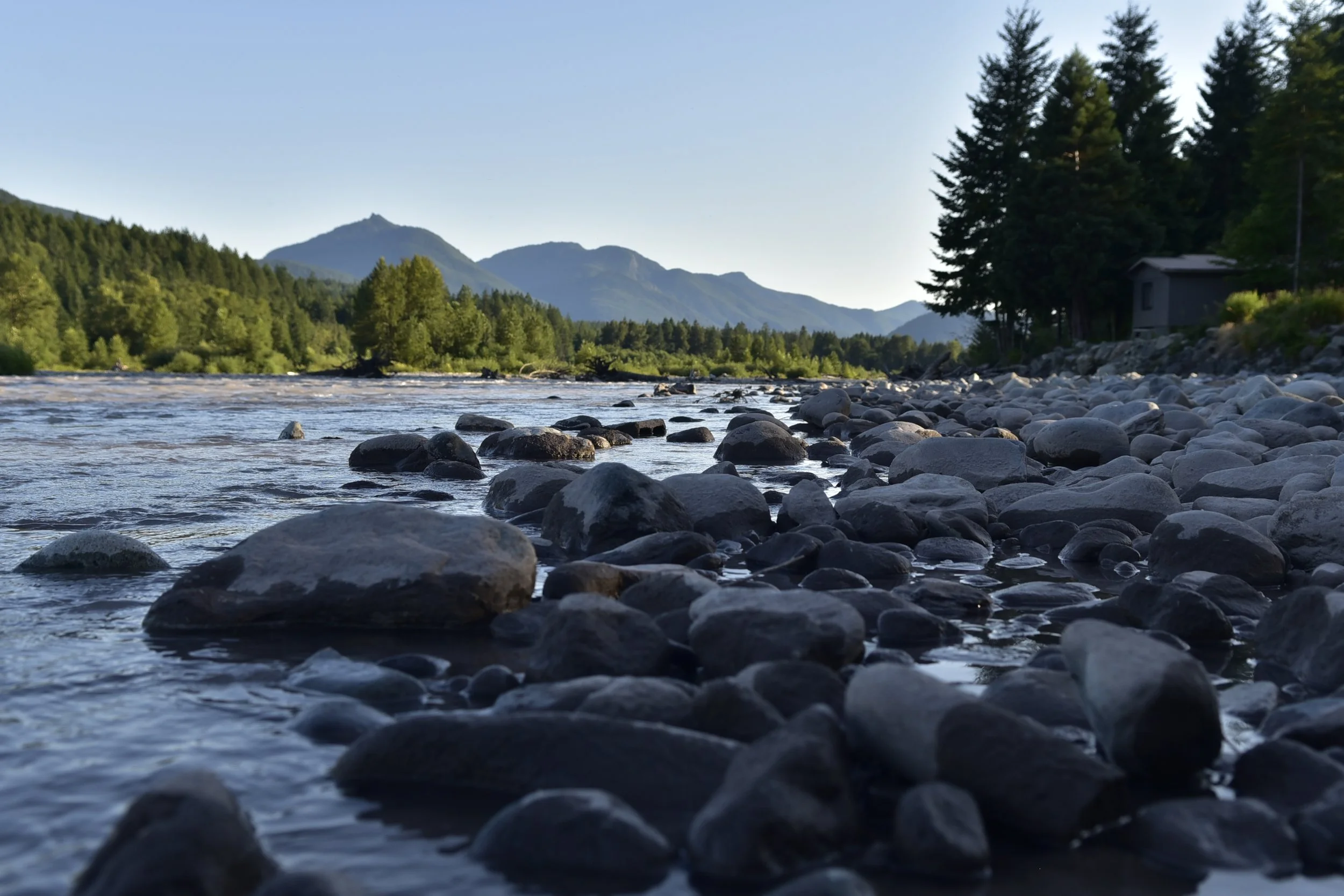 _DSC7581.JPG