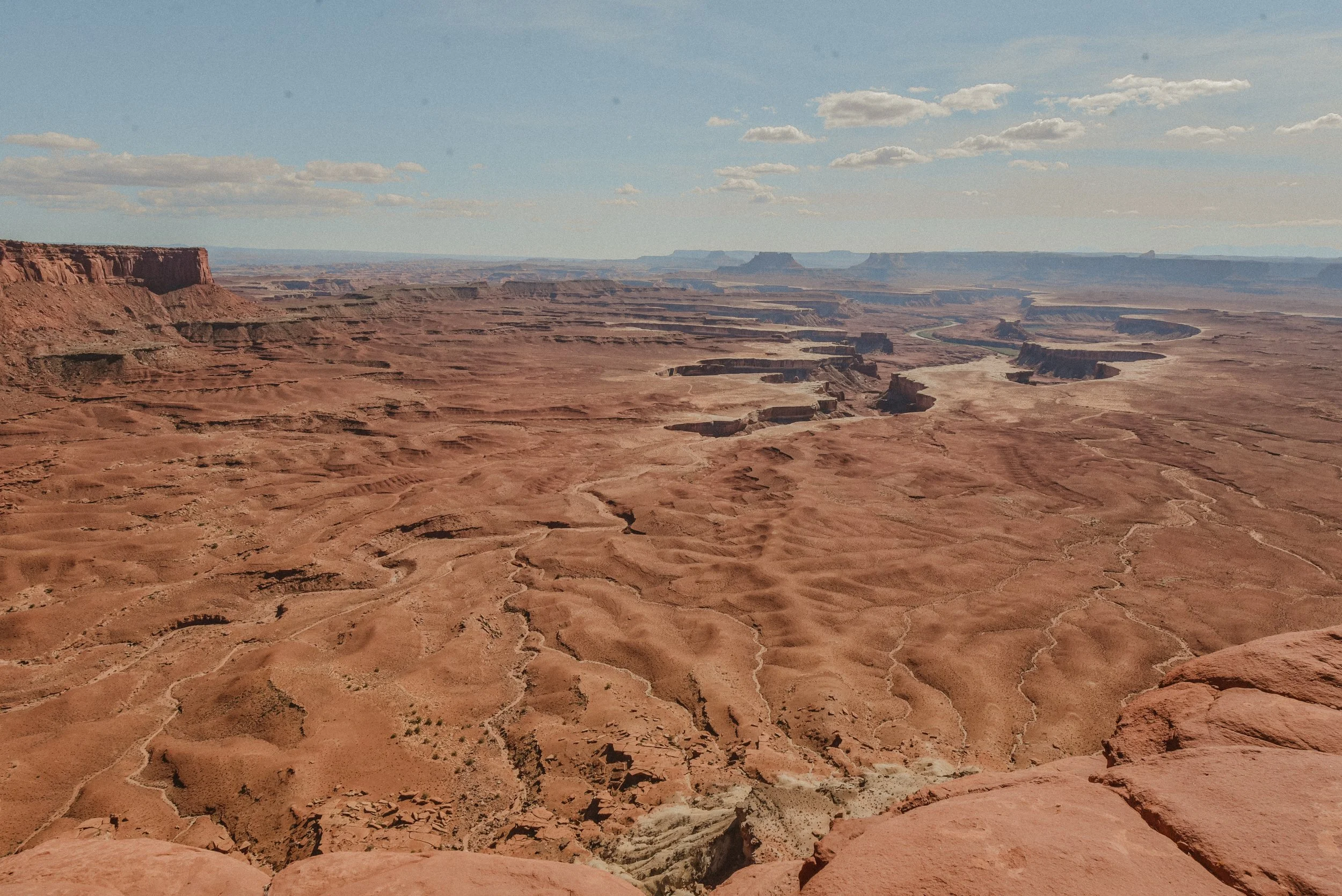 DSC_3230.jpg