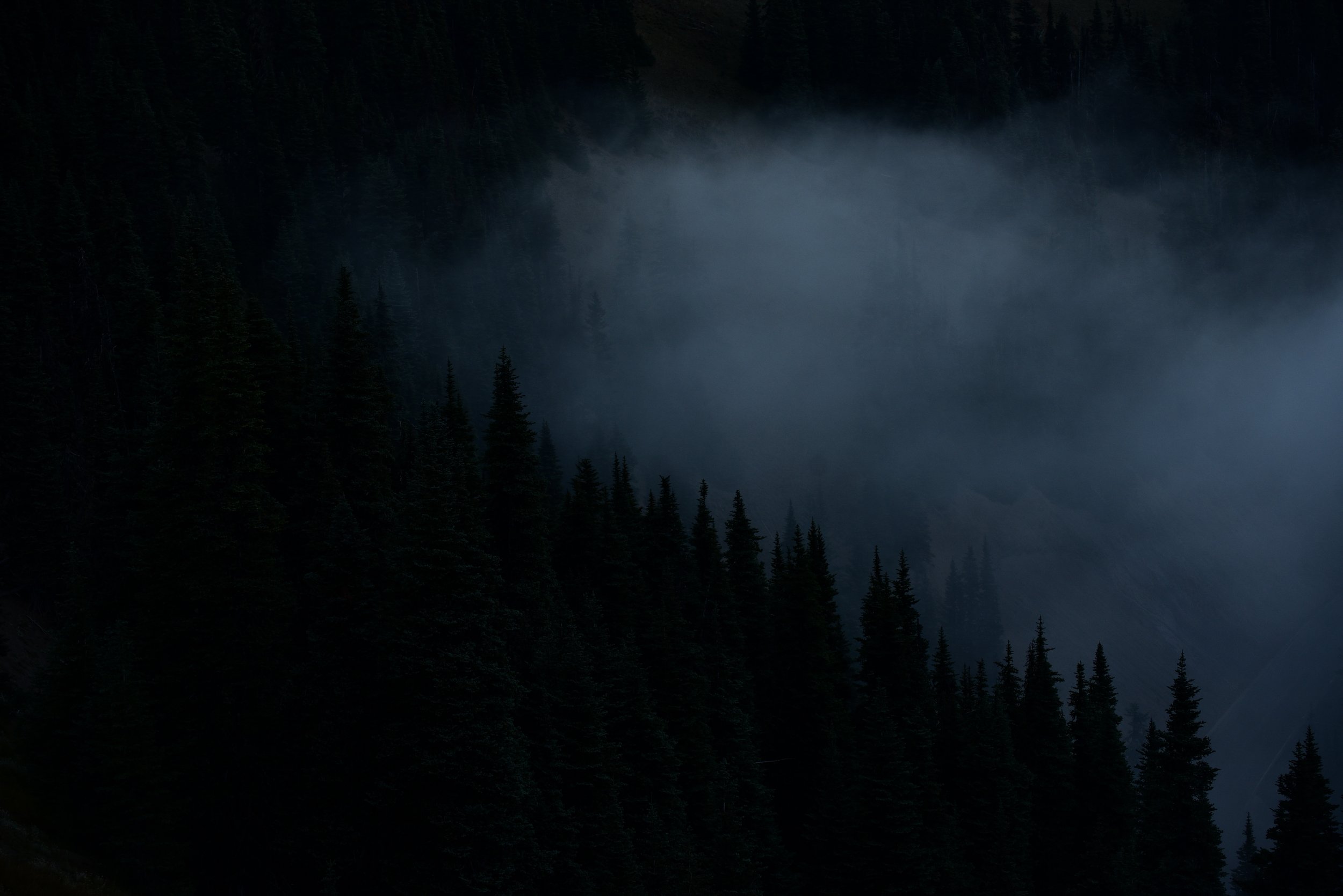 DSC_5405.jpg