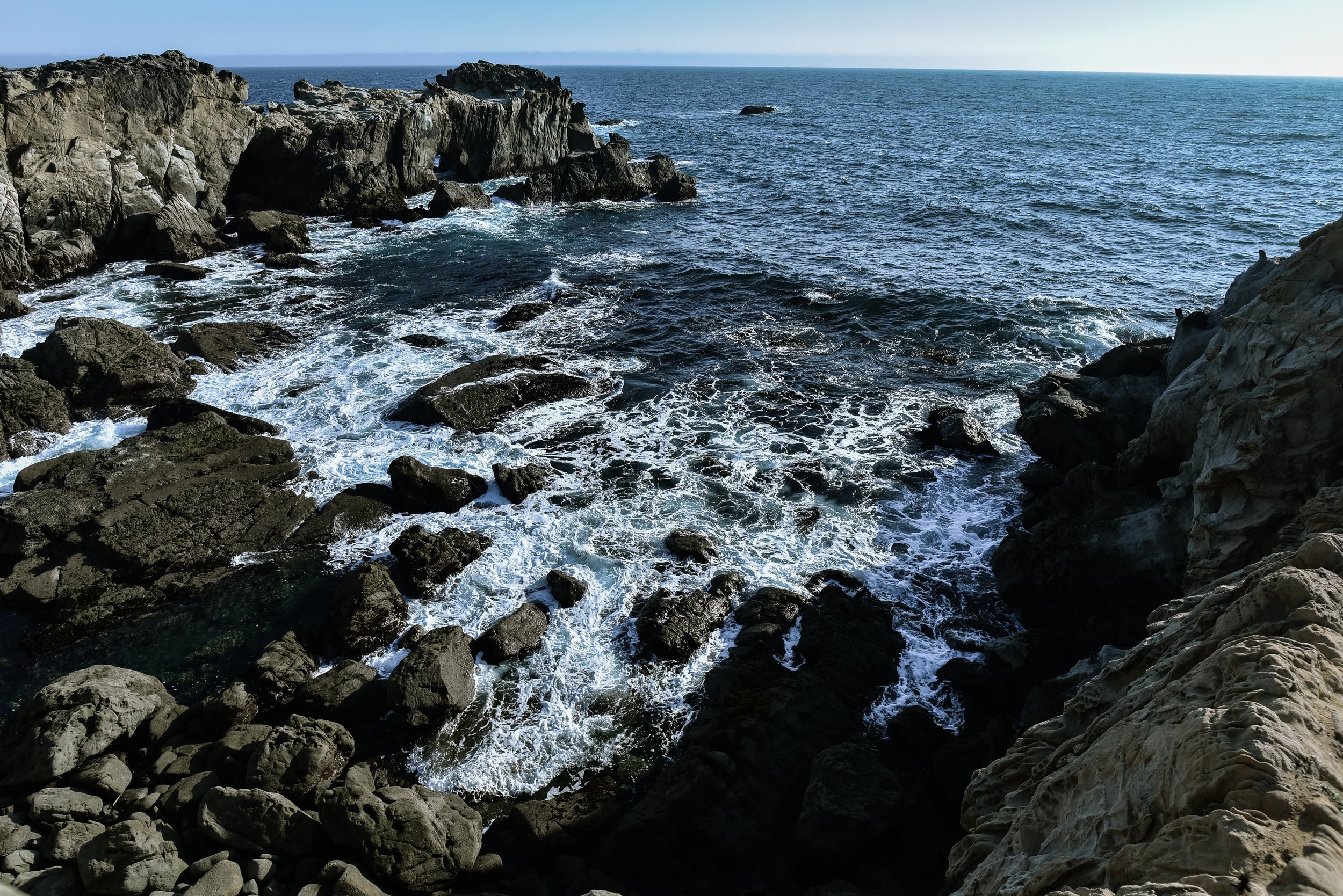 DSC_3721.jpg