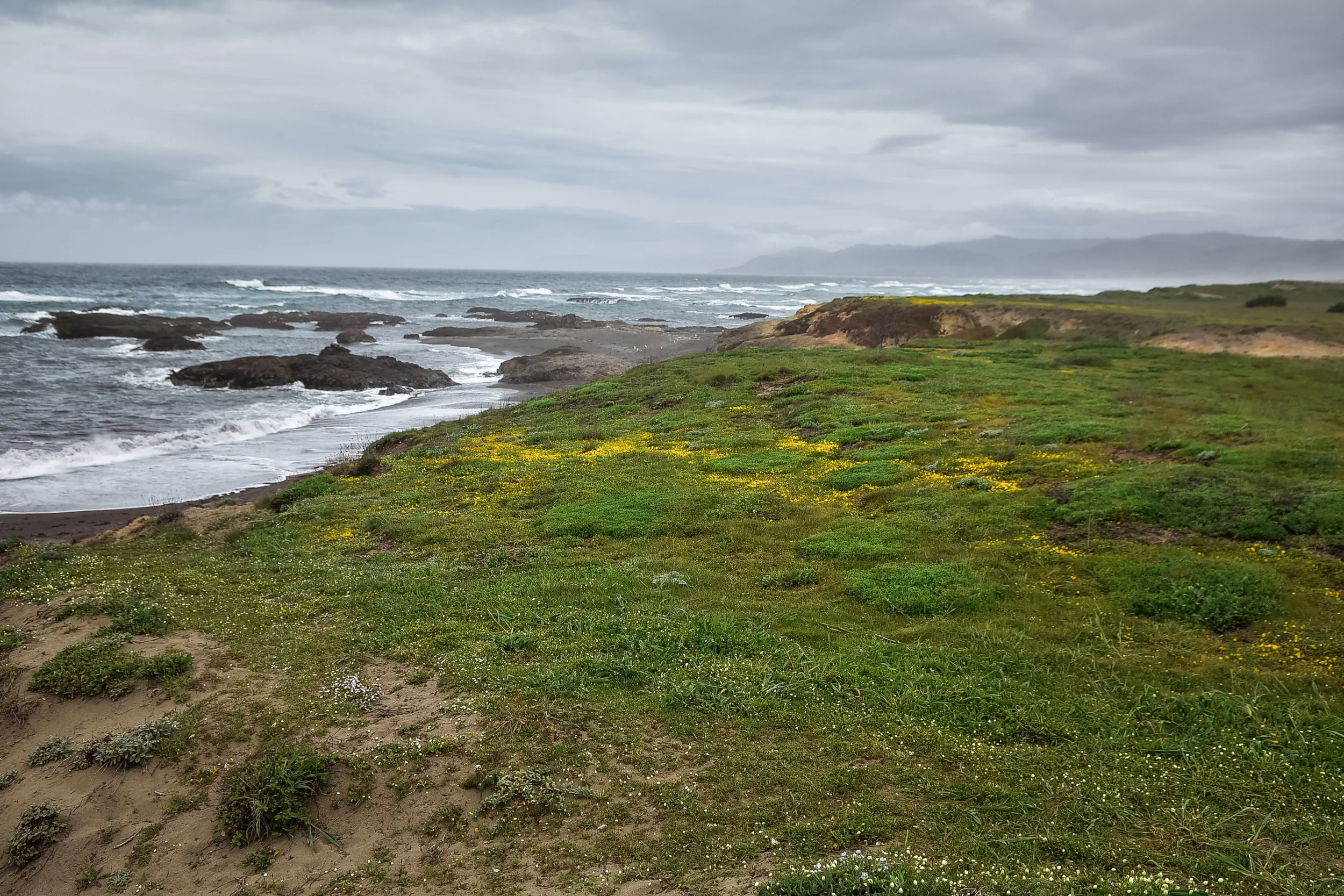 _DSC5146.jpg
