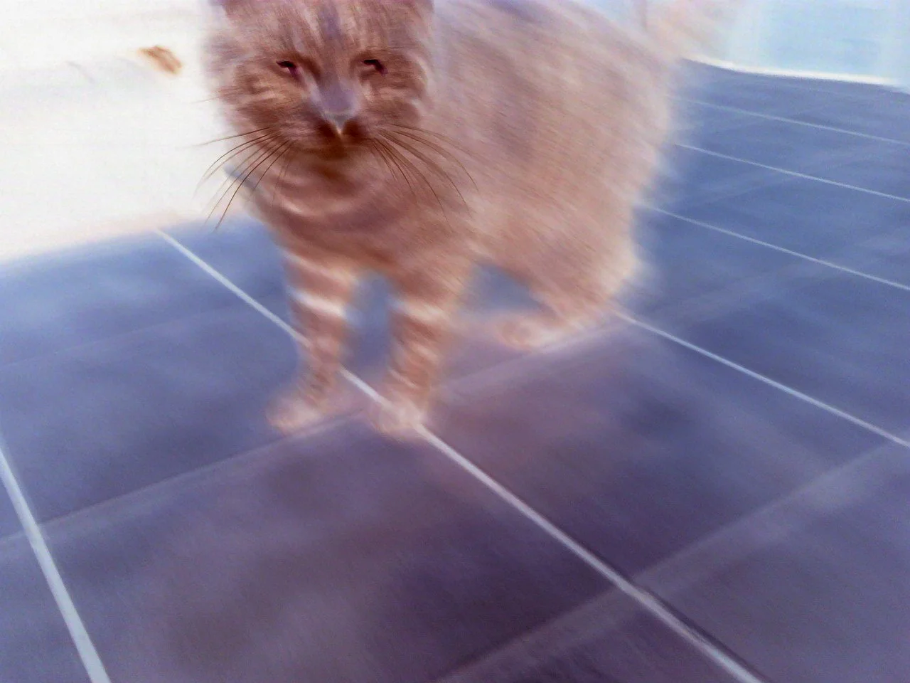 0104122228a.jpg